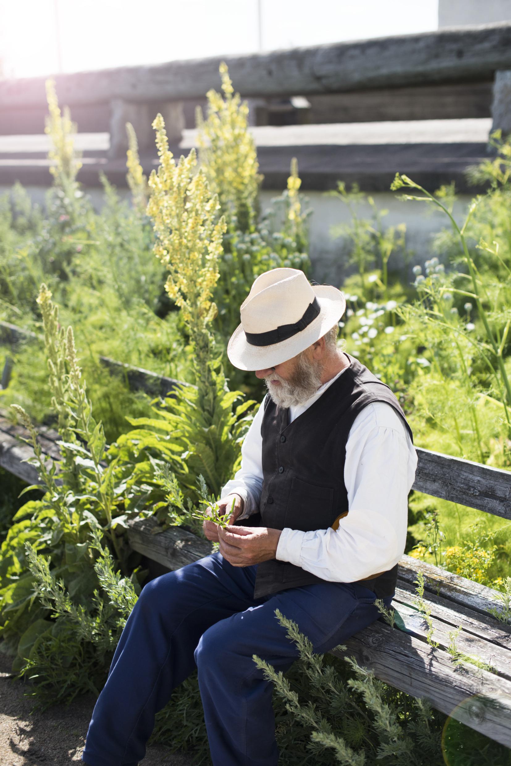 Le jardin du château de Läckö