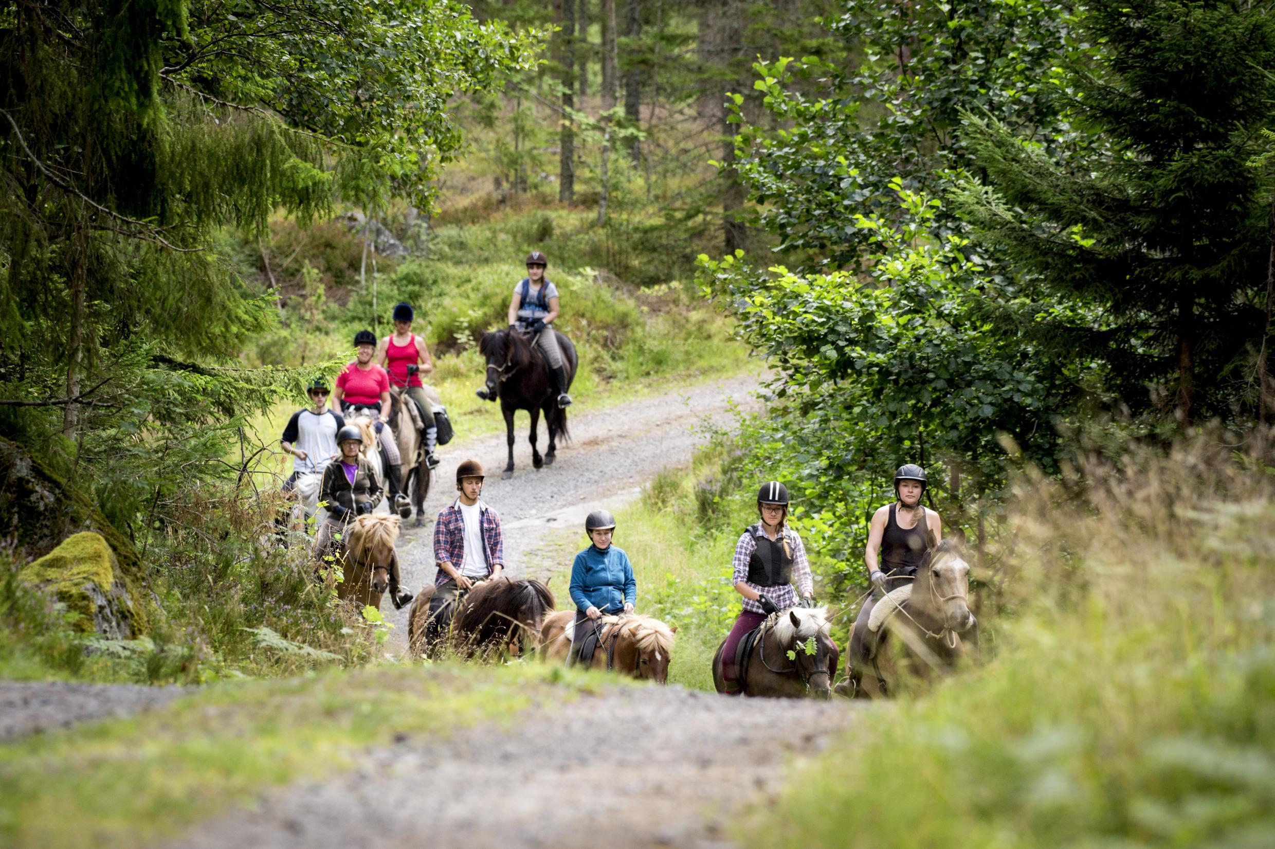 Nationalpark Tiveden