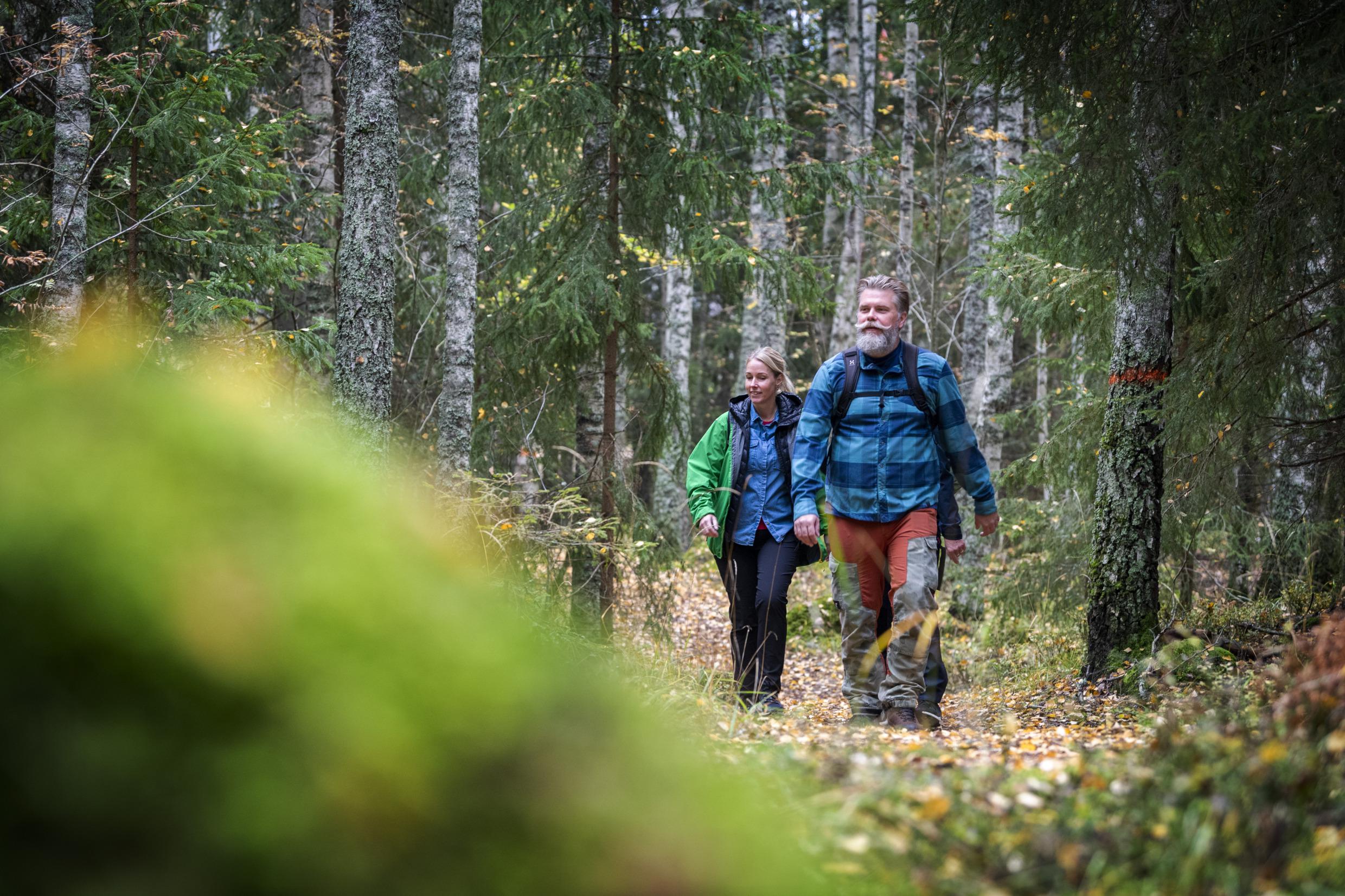 Drie mensen wandelen in de herfst over het Bruksleden-pad.