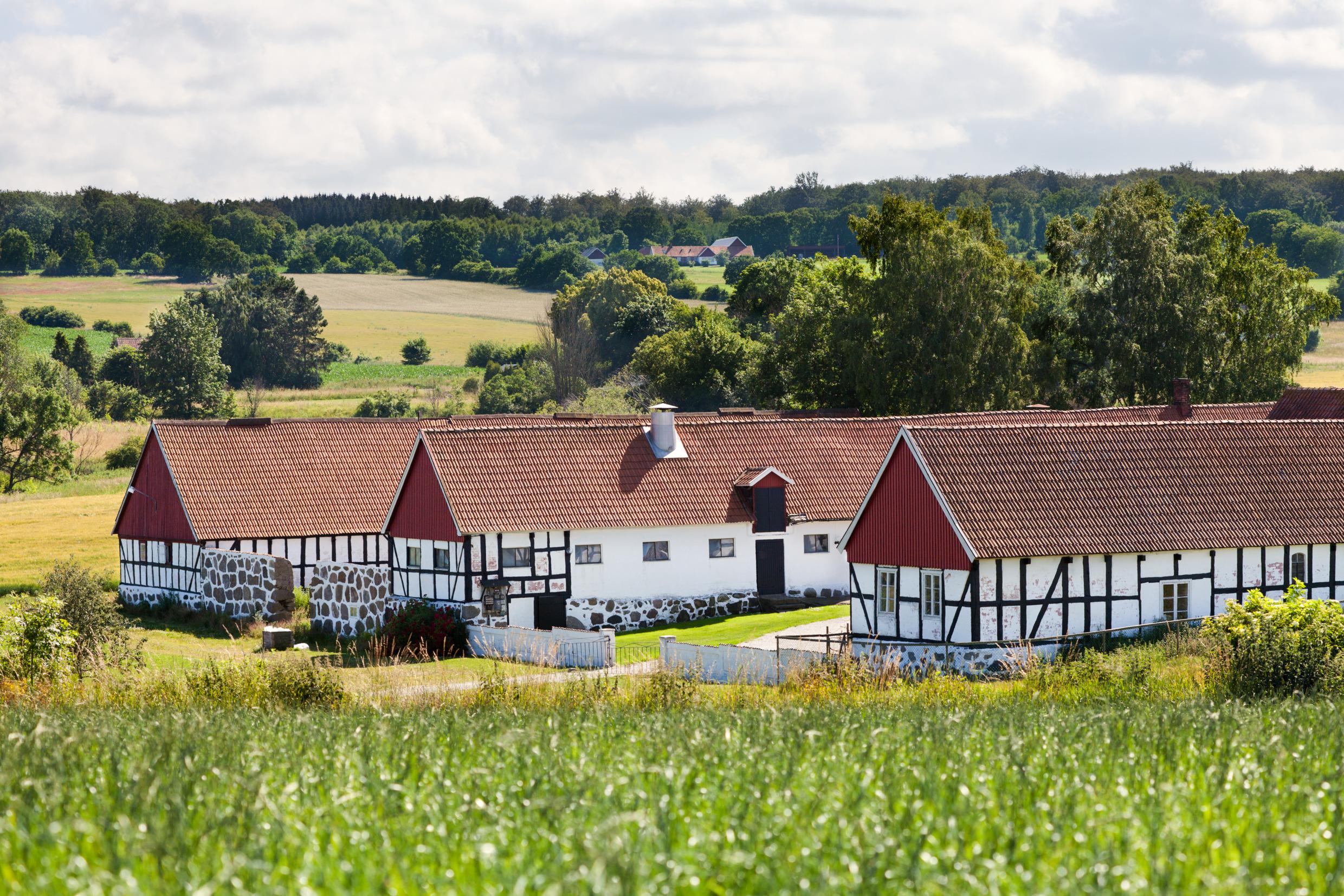 Traditionele, witgekalkte vakwerkboerderijen met rode pannendaken, omringd door groene velden en bomen in Österlen, Skåne.