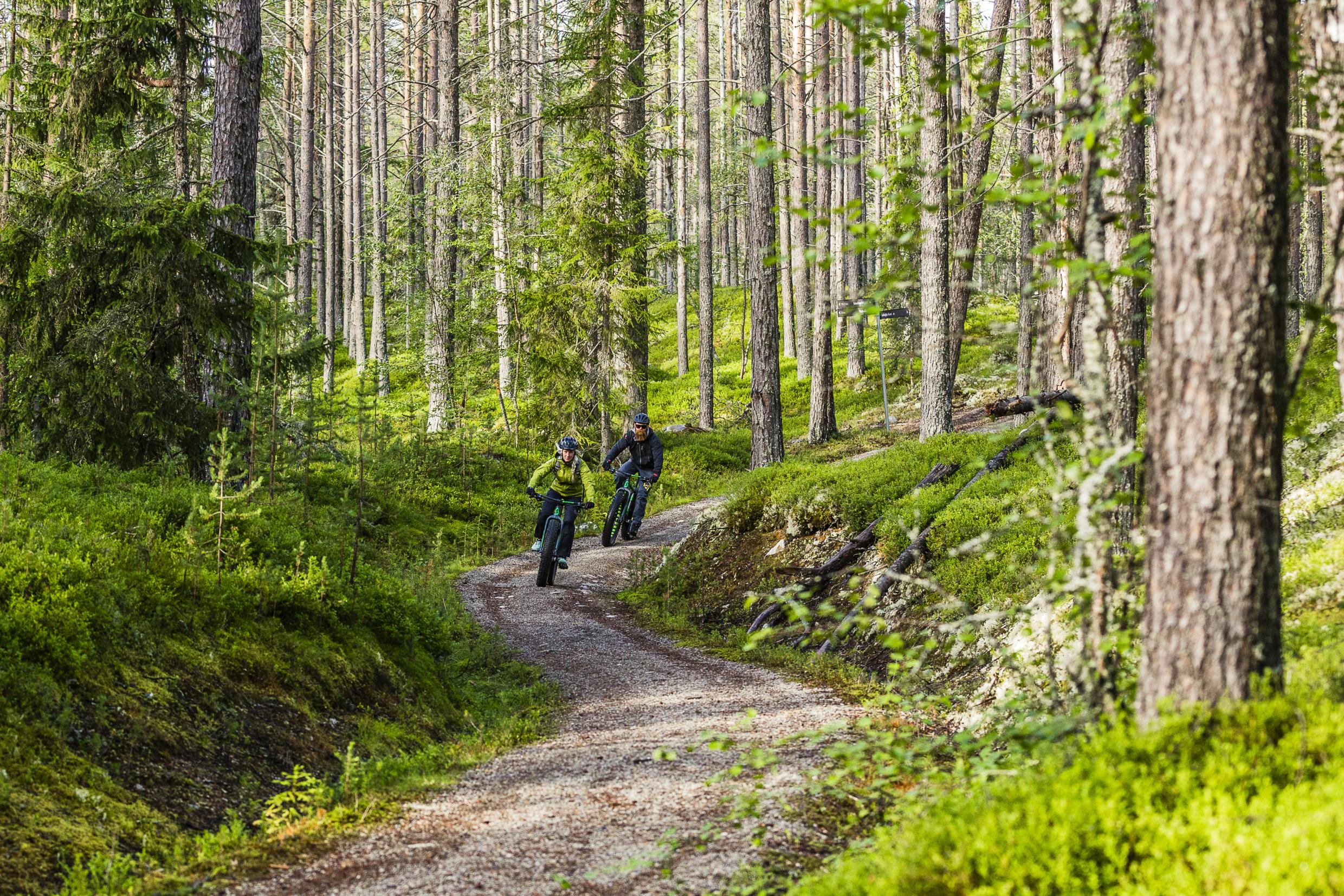 Mountainbiker in het bos.