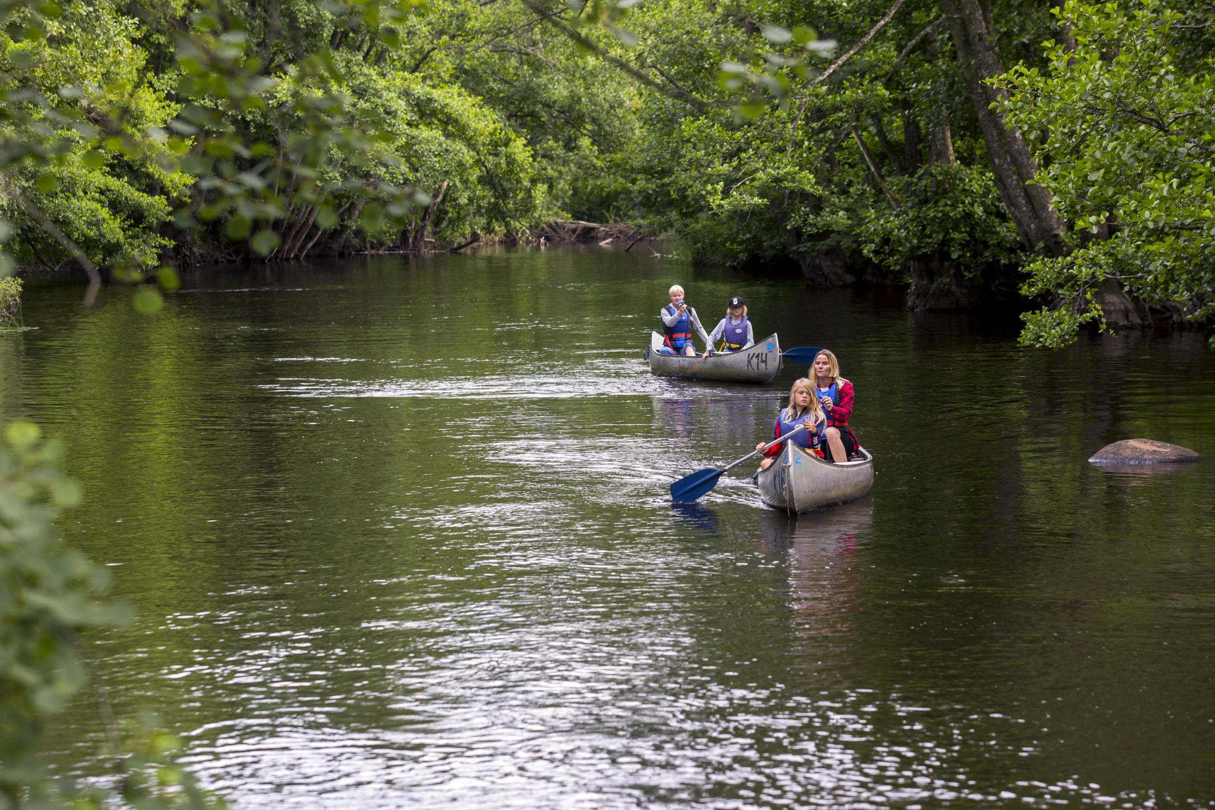Canoë à Ronnebyån dans le Småland