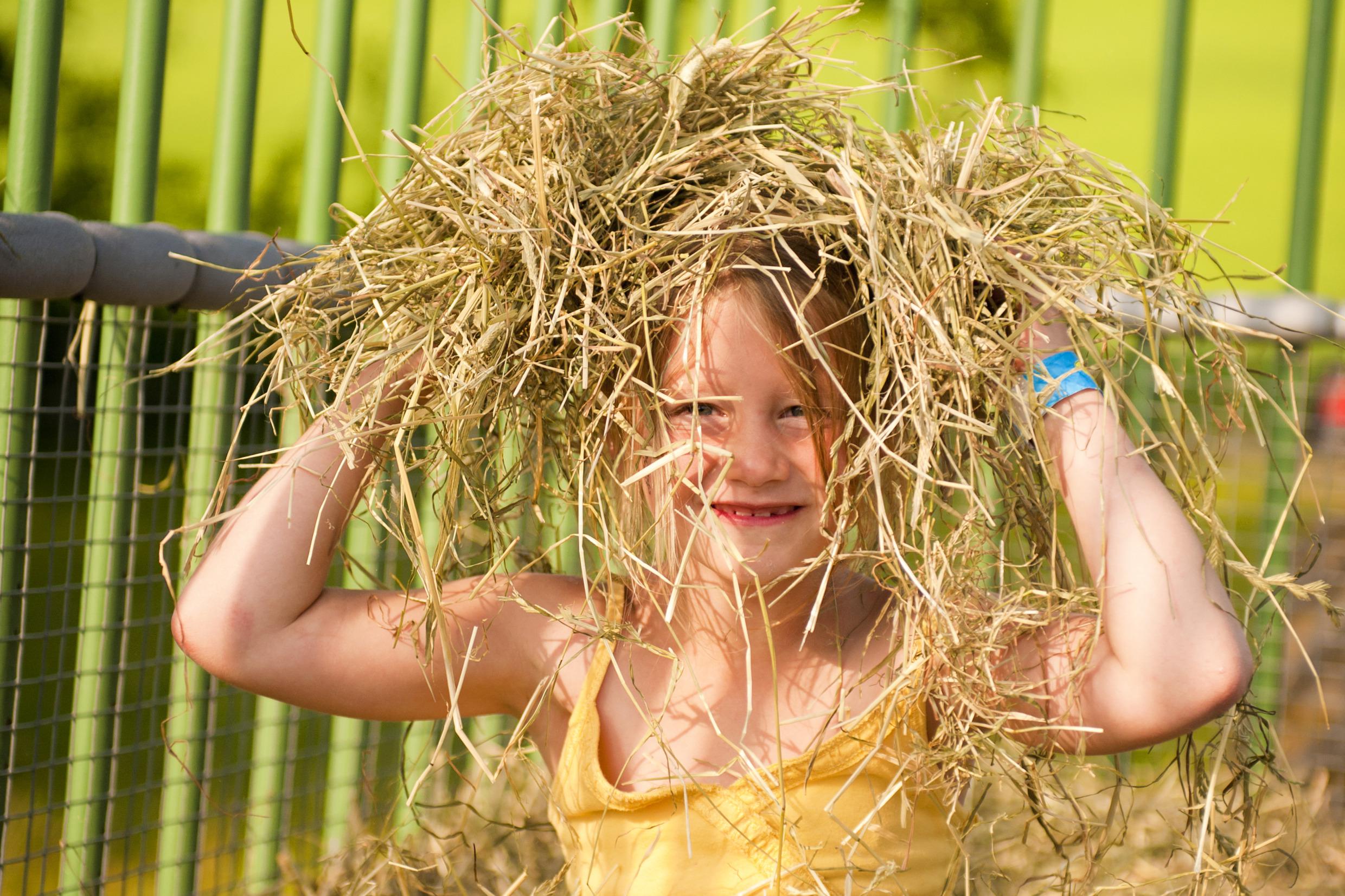 Kinderfarm in Karlskrona