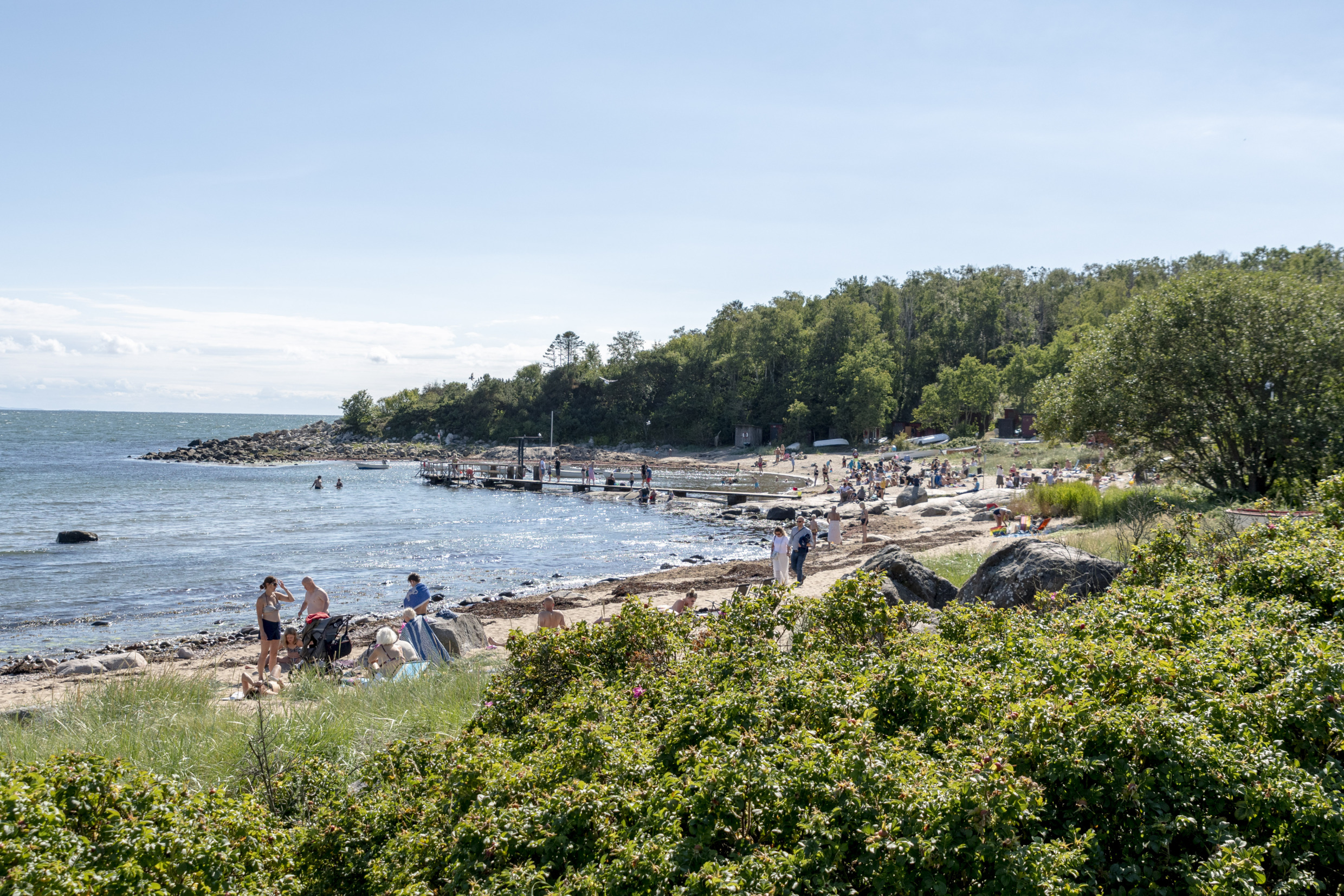 Une petite plage dans une baie entourée de forêts.
