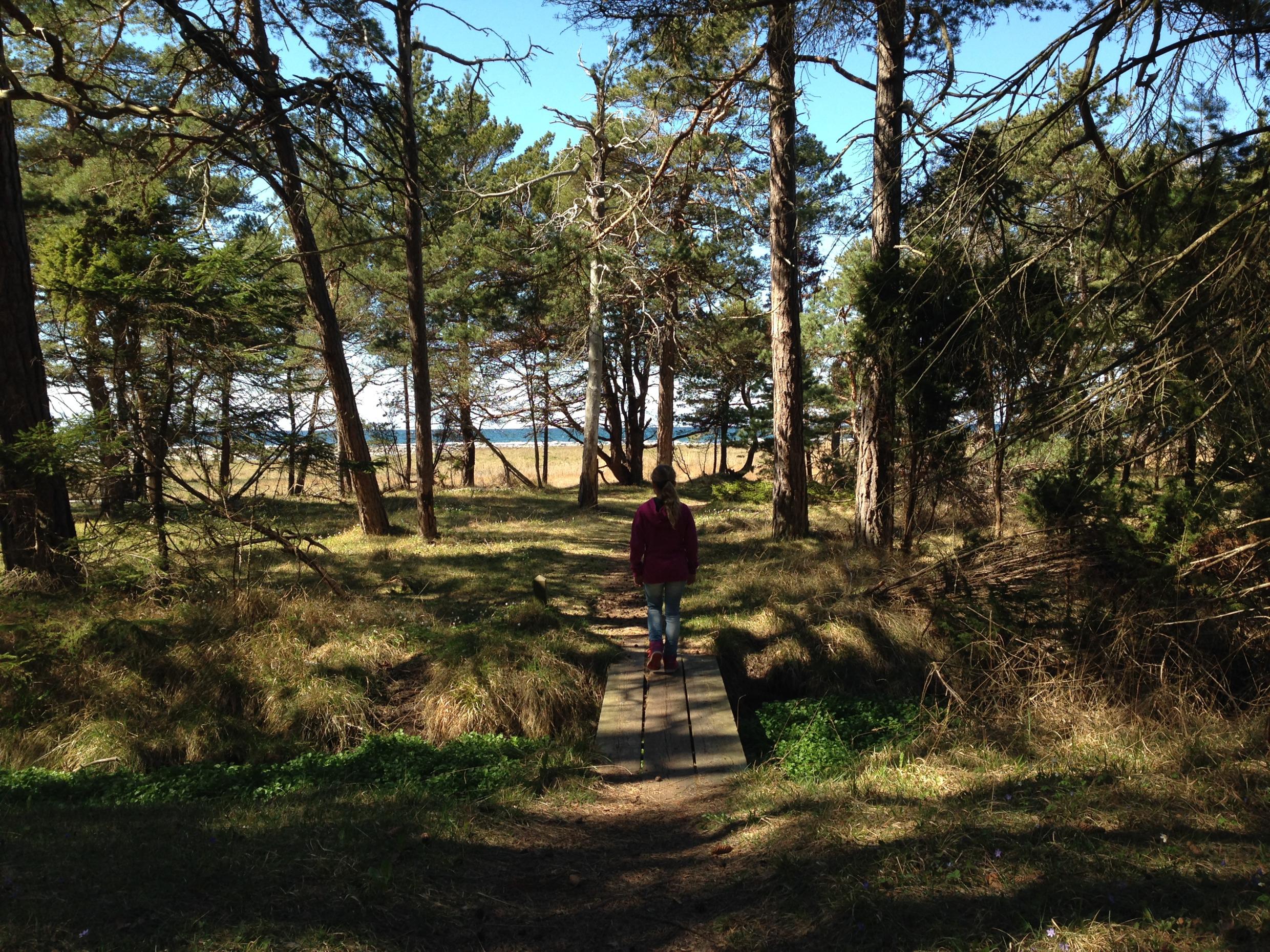 Brucebo nature reserve