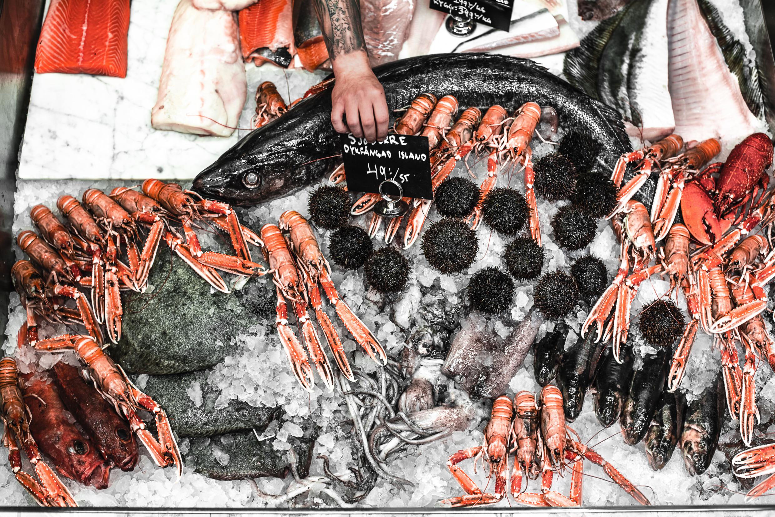 Eine Theke mit Meeresfrüchten wie Hummern, Seeigeln, Tintenfischen und Fischen.