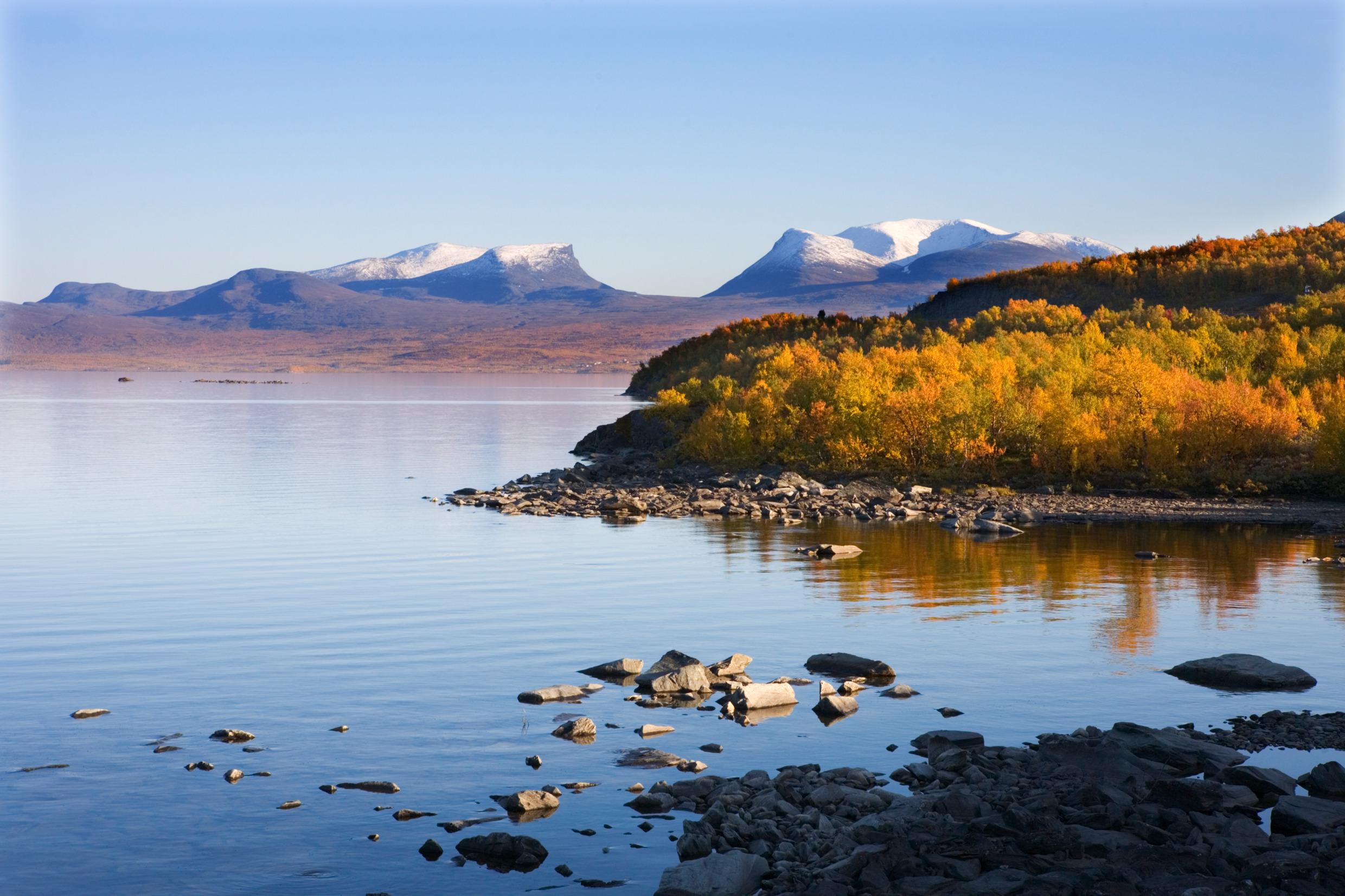 Ein See in Abisko mit felsigem Ufer und Bäumen in Herbstfarben, mit Bergen im Hintergrund.