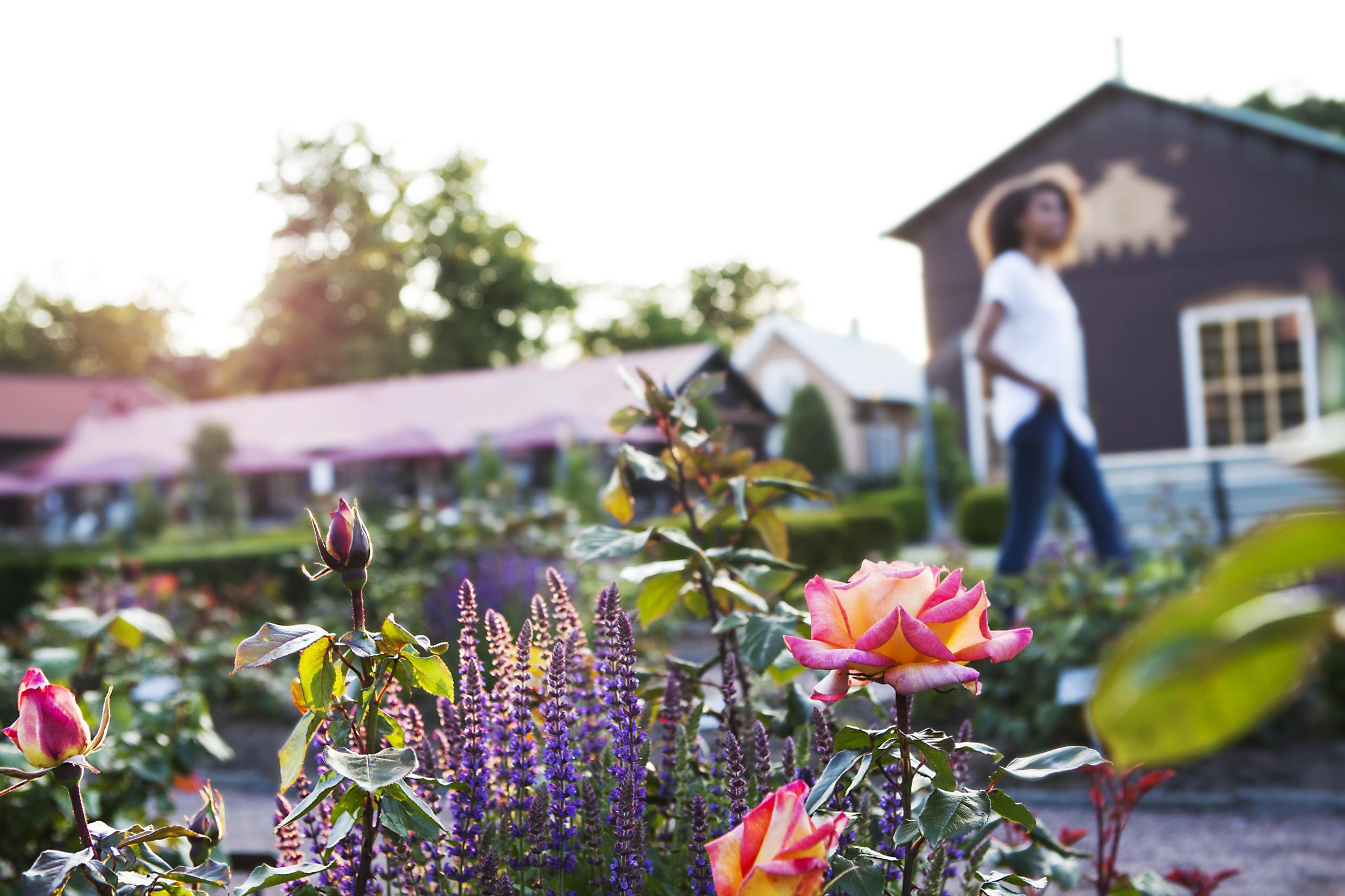 The Garden Society in Gothenburg