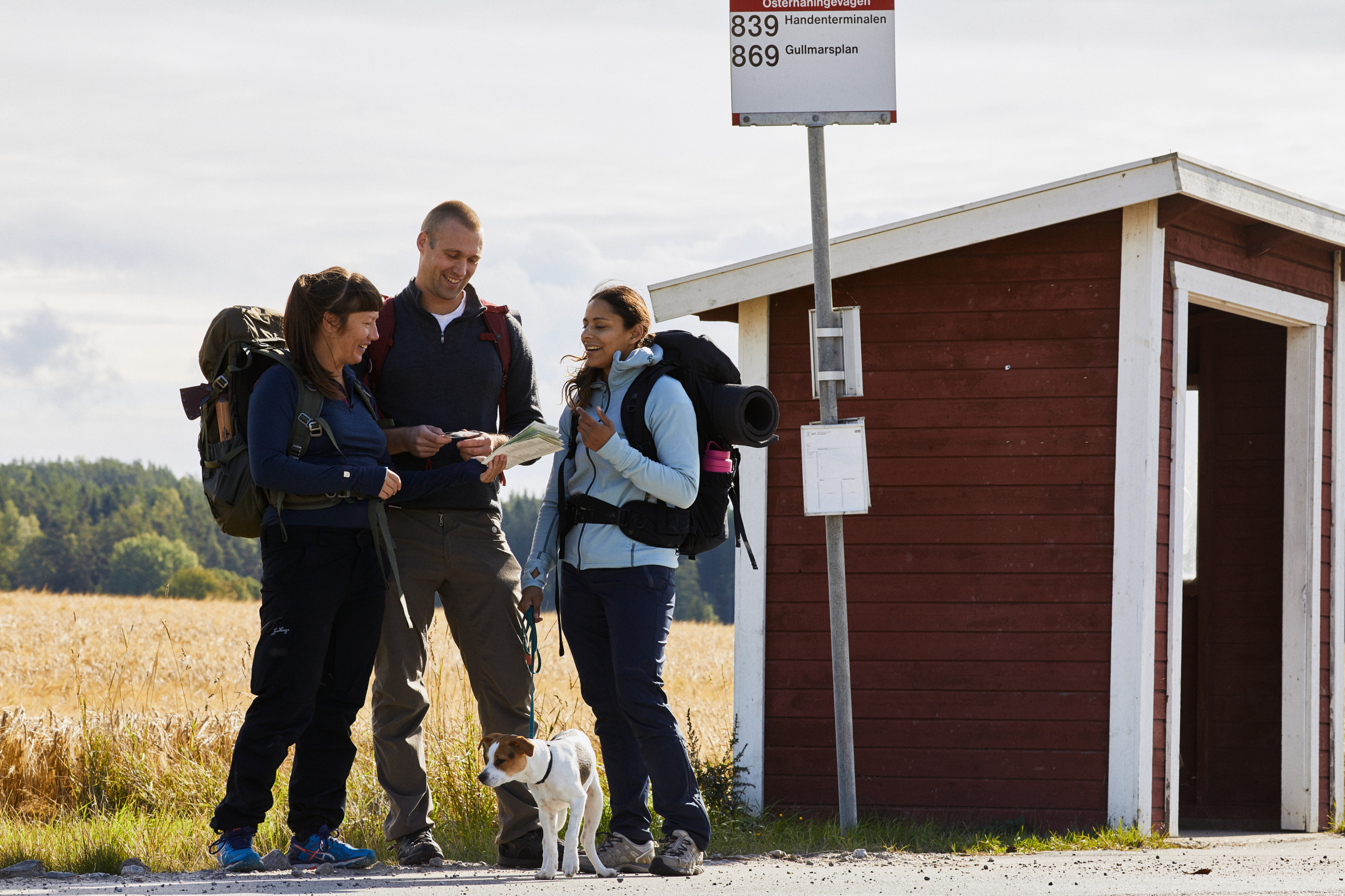 Transports en commun