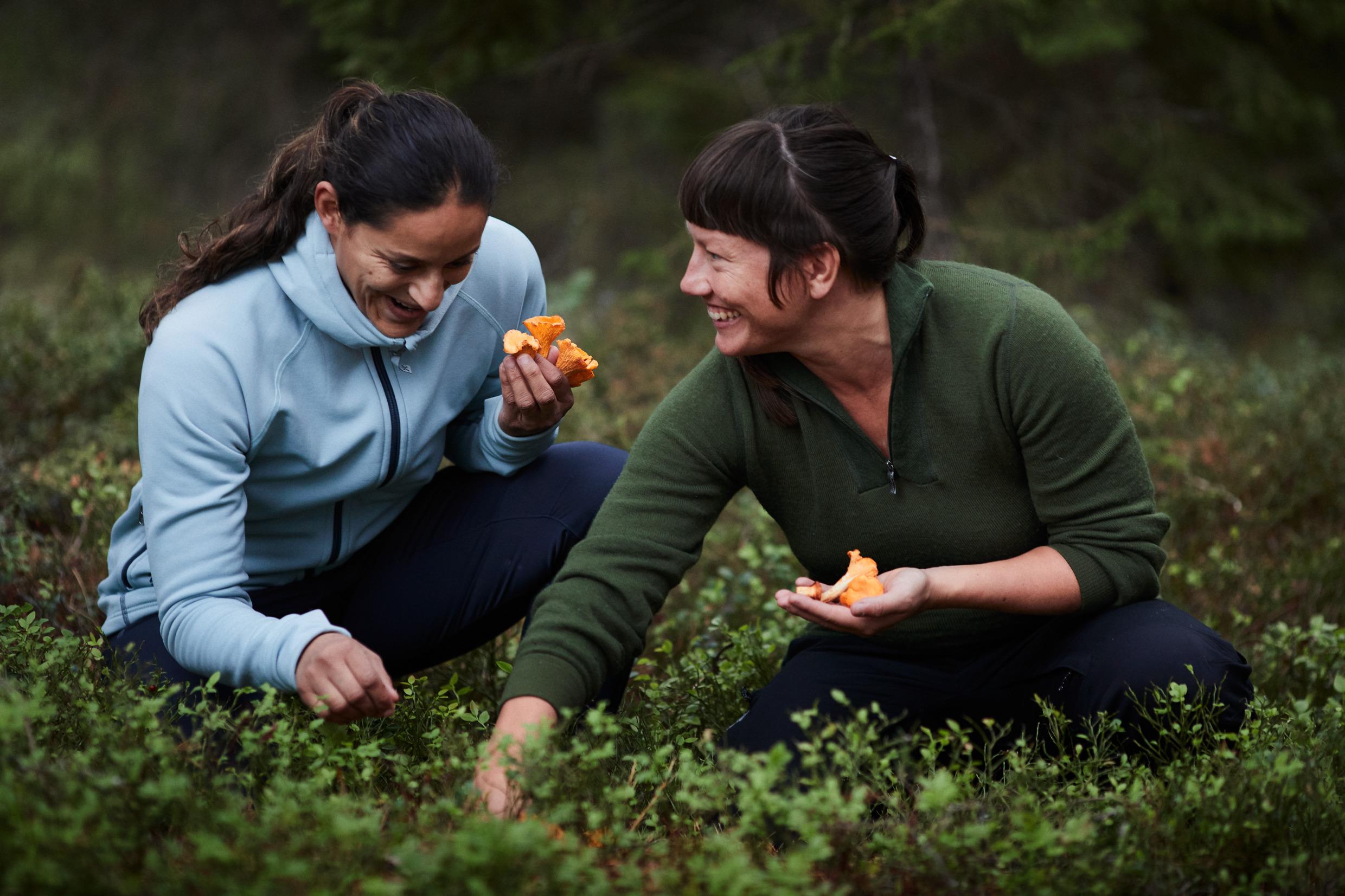 Picking mushrooms