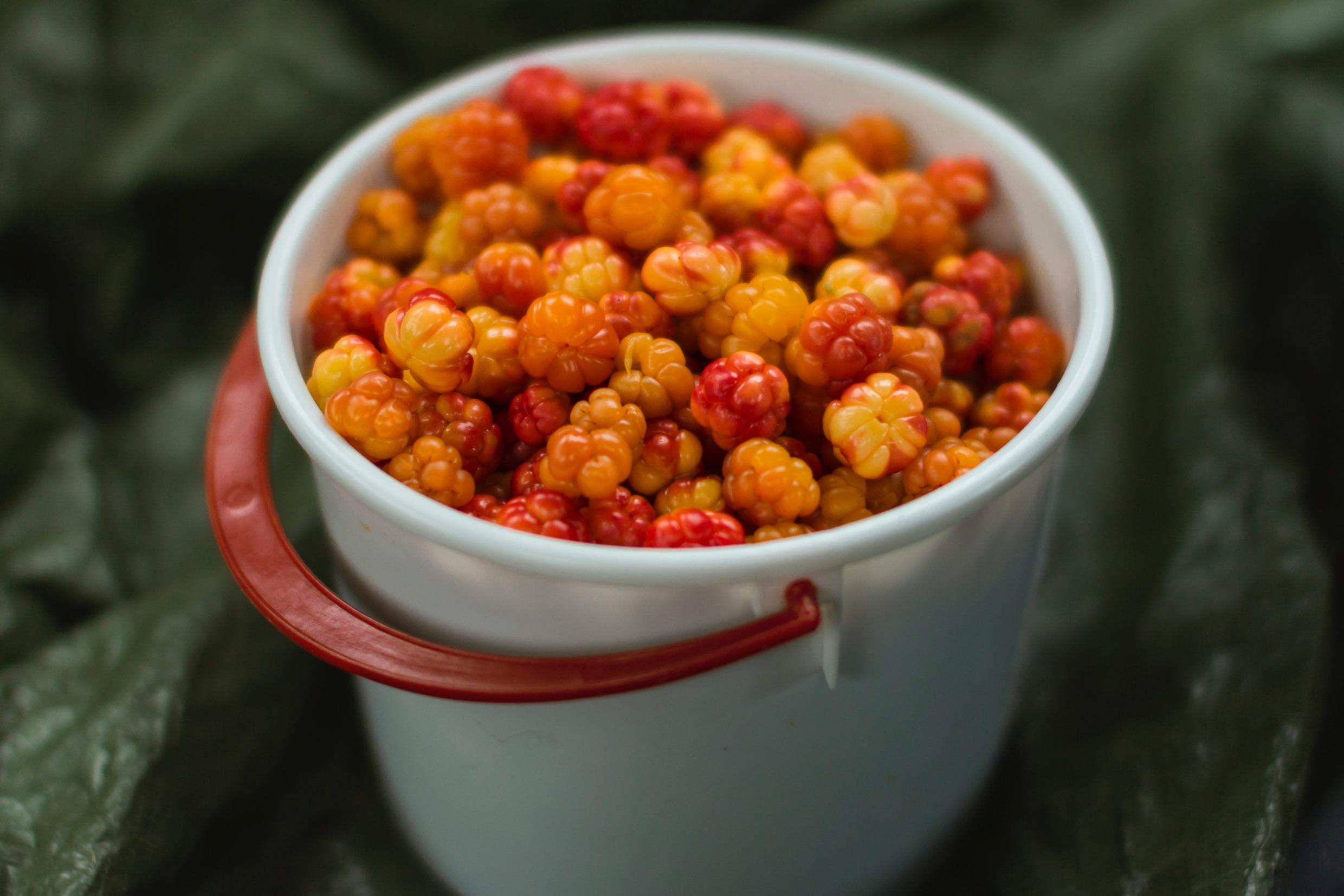 Cloudberries