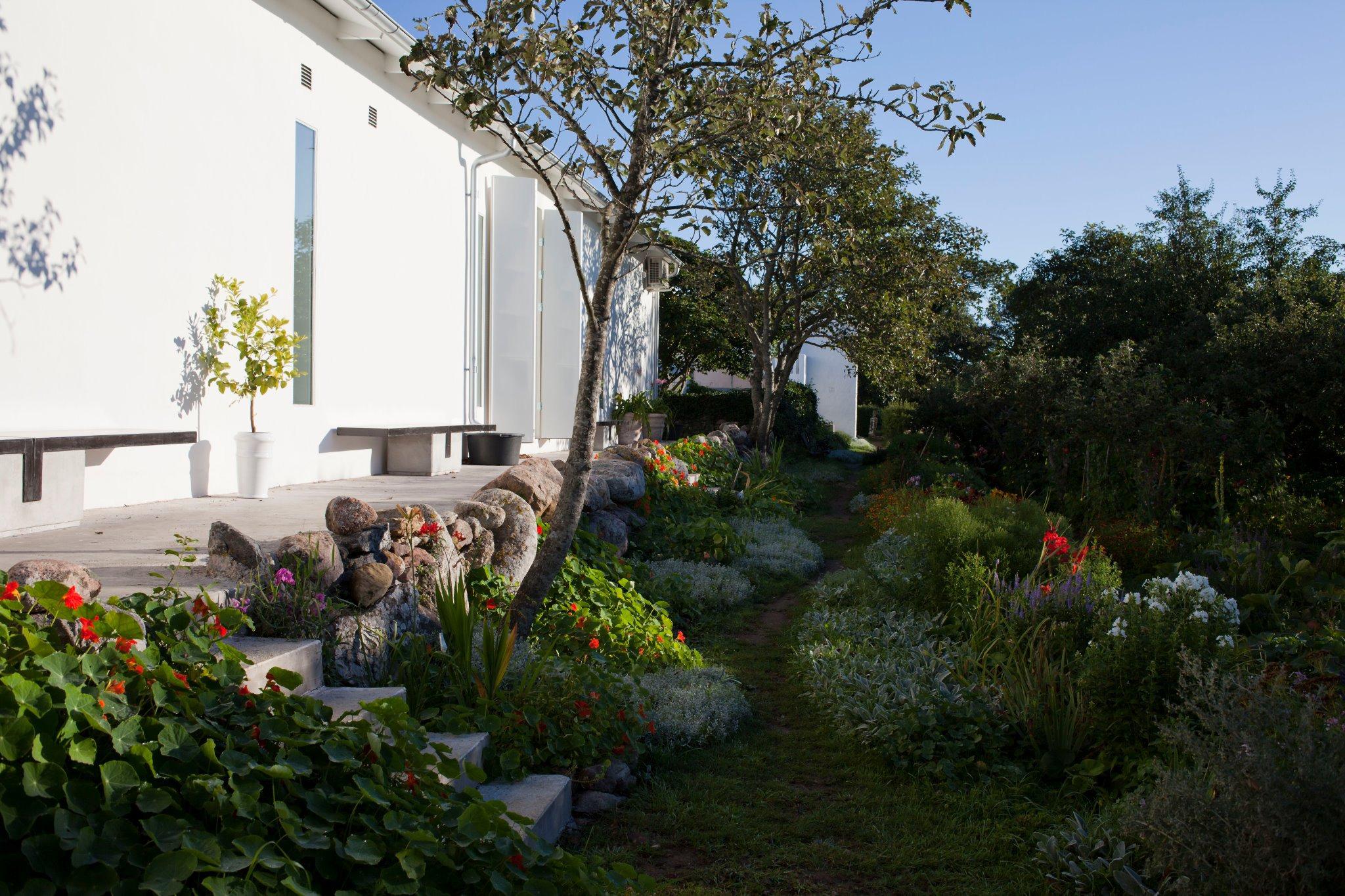 Lush garden with a little path outside a white building housing the Cherry Garden on Gotland.