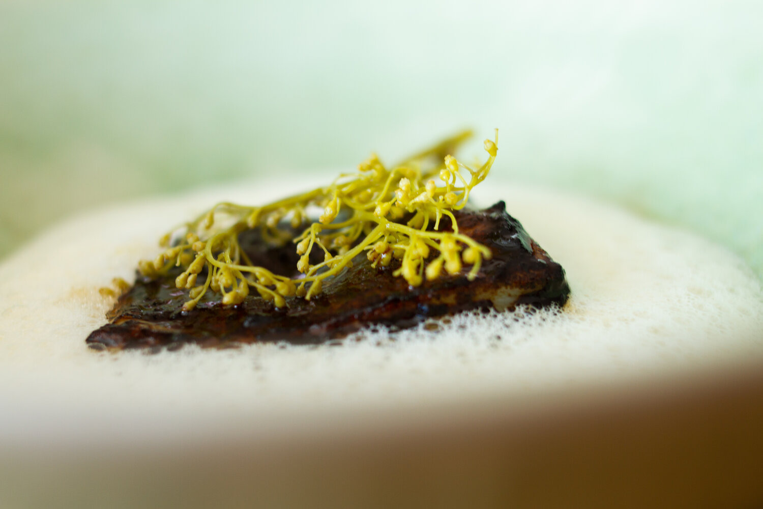 Eten geserveerd in een wit schuim met wat groen erop.