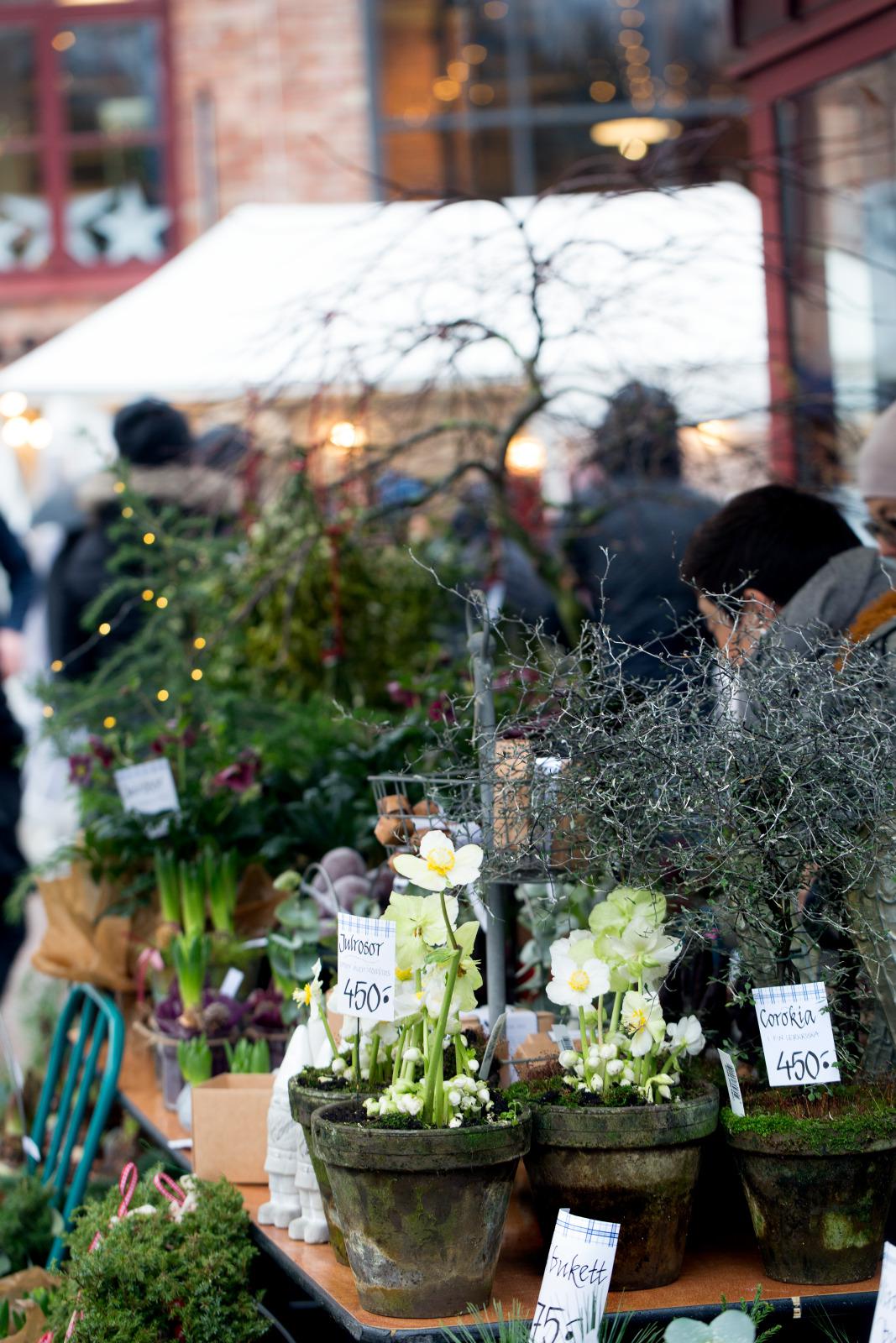 Nääs fabriker in Tollered