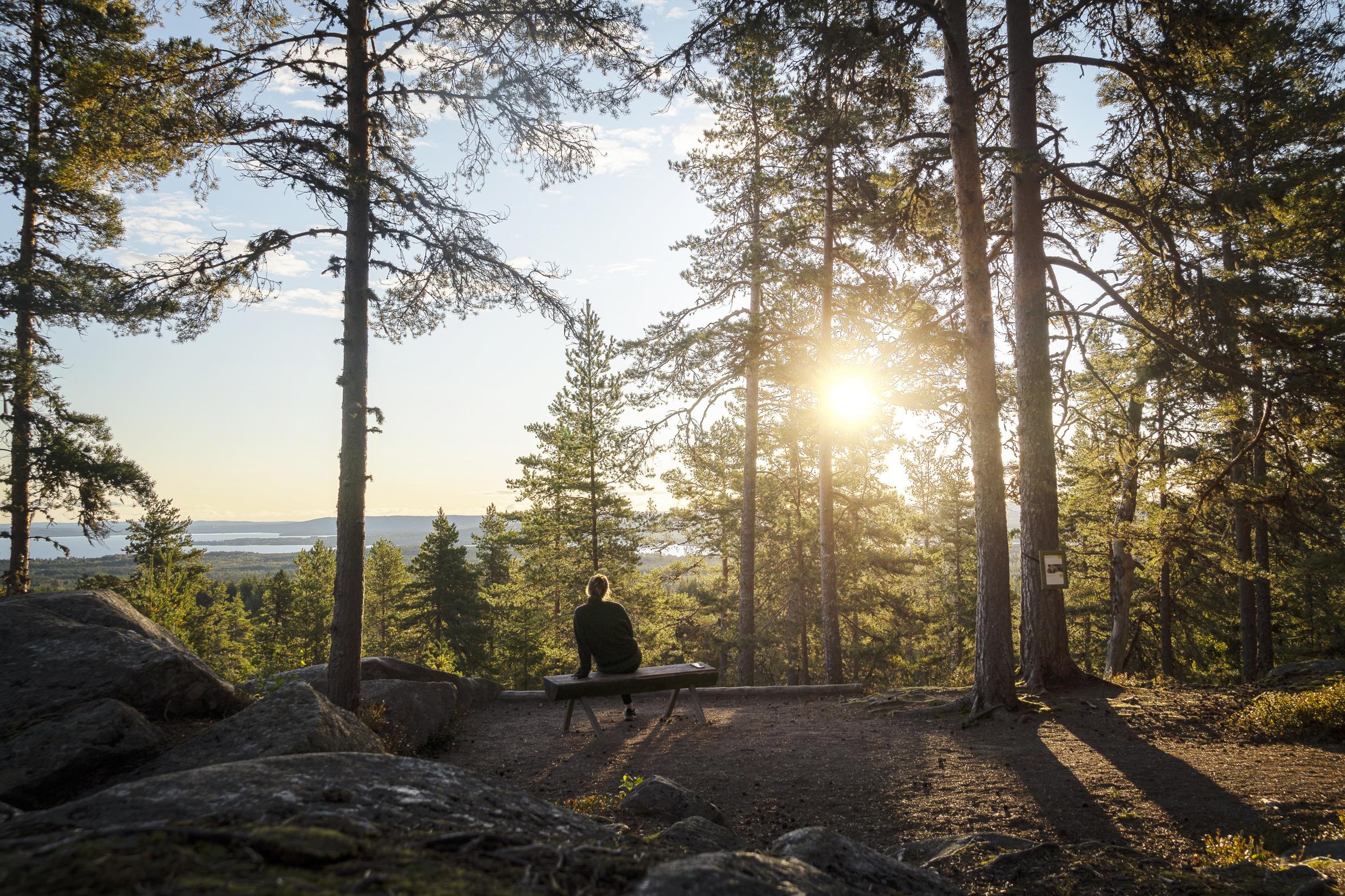 A person is sitting on a bench in a forest while looking at a view of a landscape and a lake.
