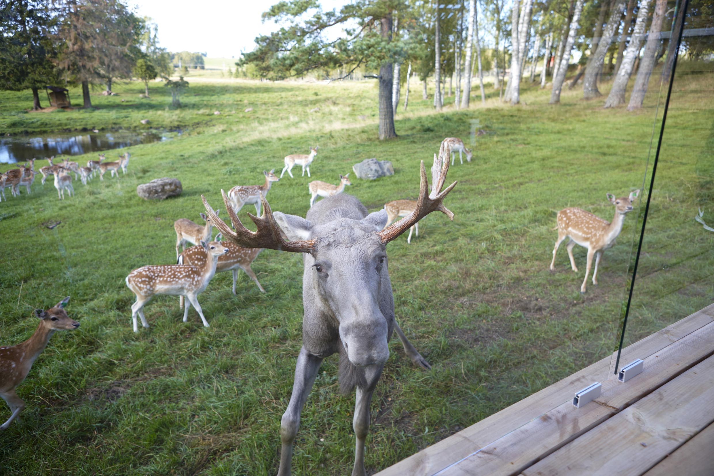 Wrågården in Falköping, Westschweden