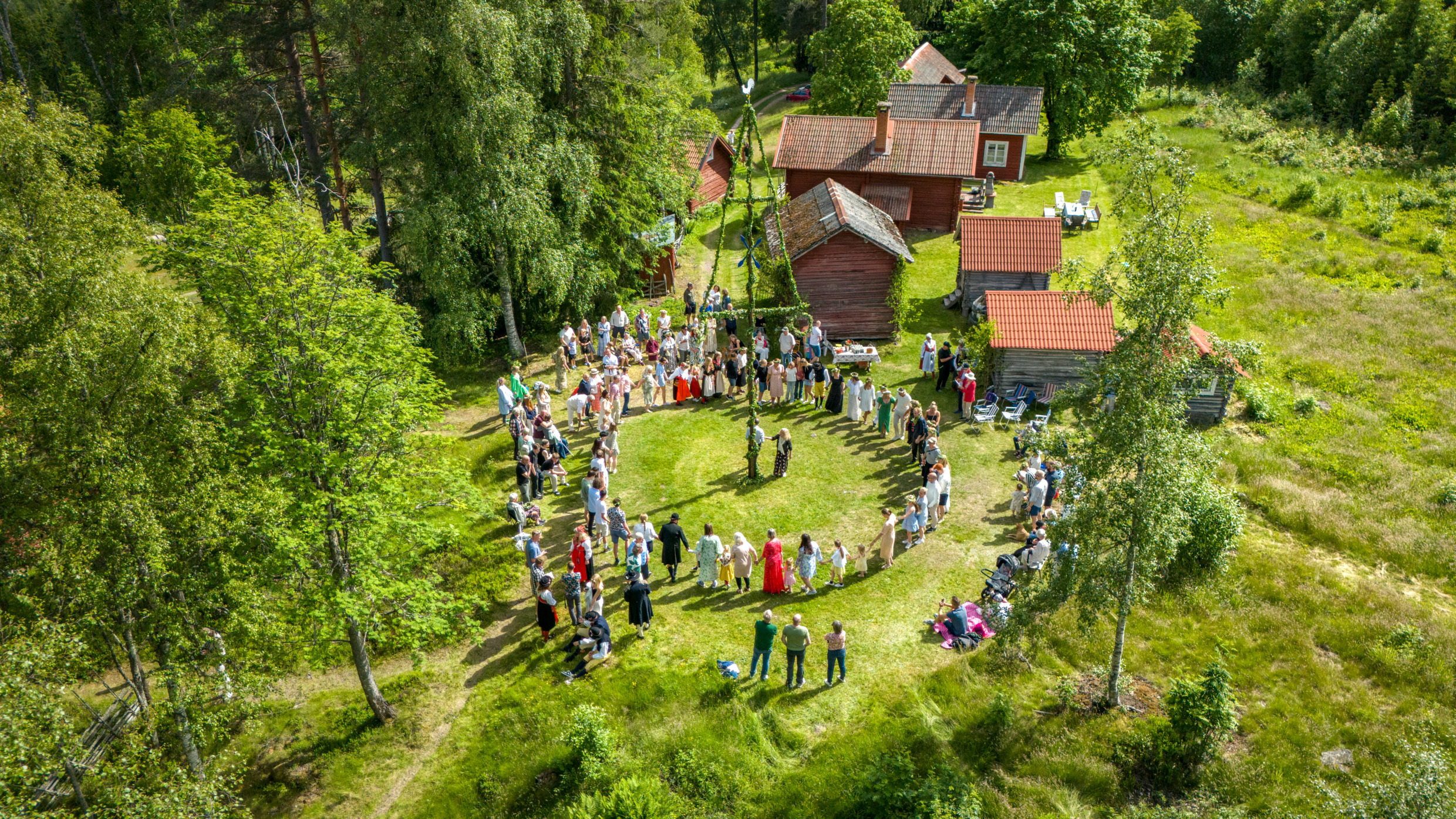 Aerial view of people dancing around a pole covered with greenery.