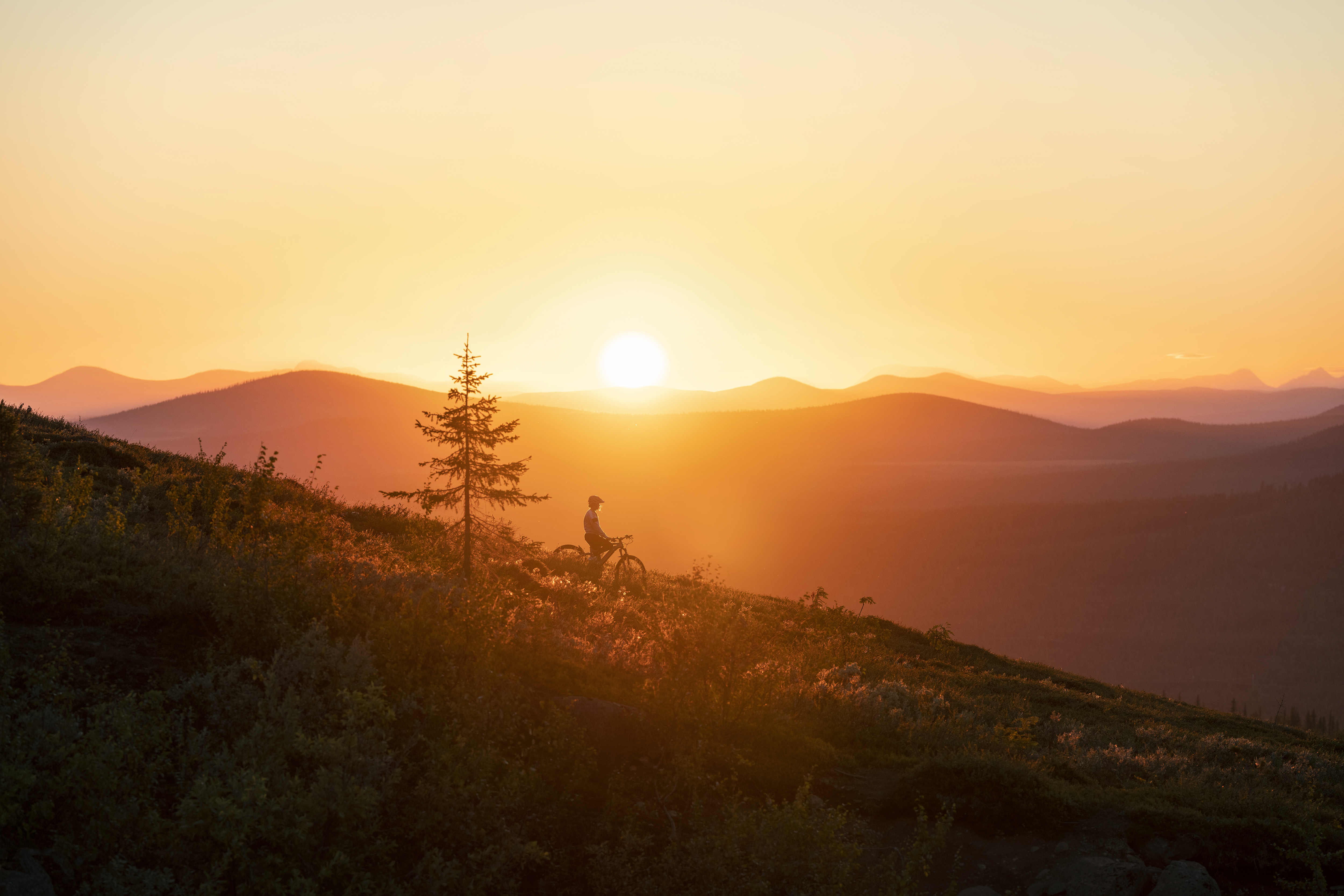 Silhouette eines Radfahrers auf einem Hügel bei Sonnenuntergang in der Nähe von Gällivare im arktischen Schweden, mit leuchtenden Bergen und sommerlichem Abendlicht.