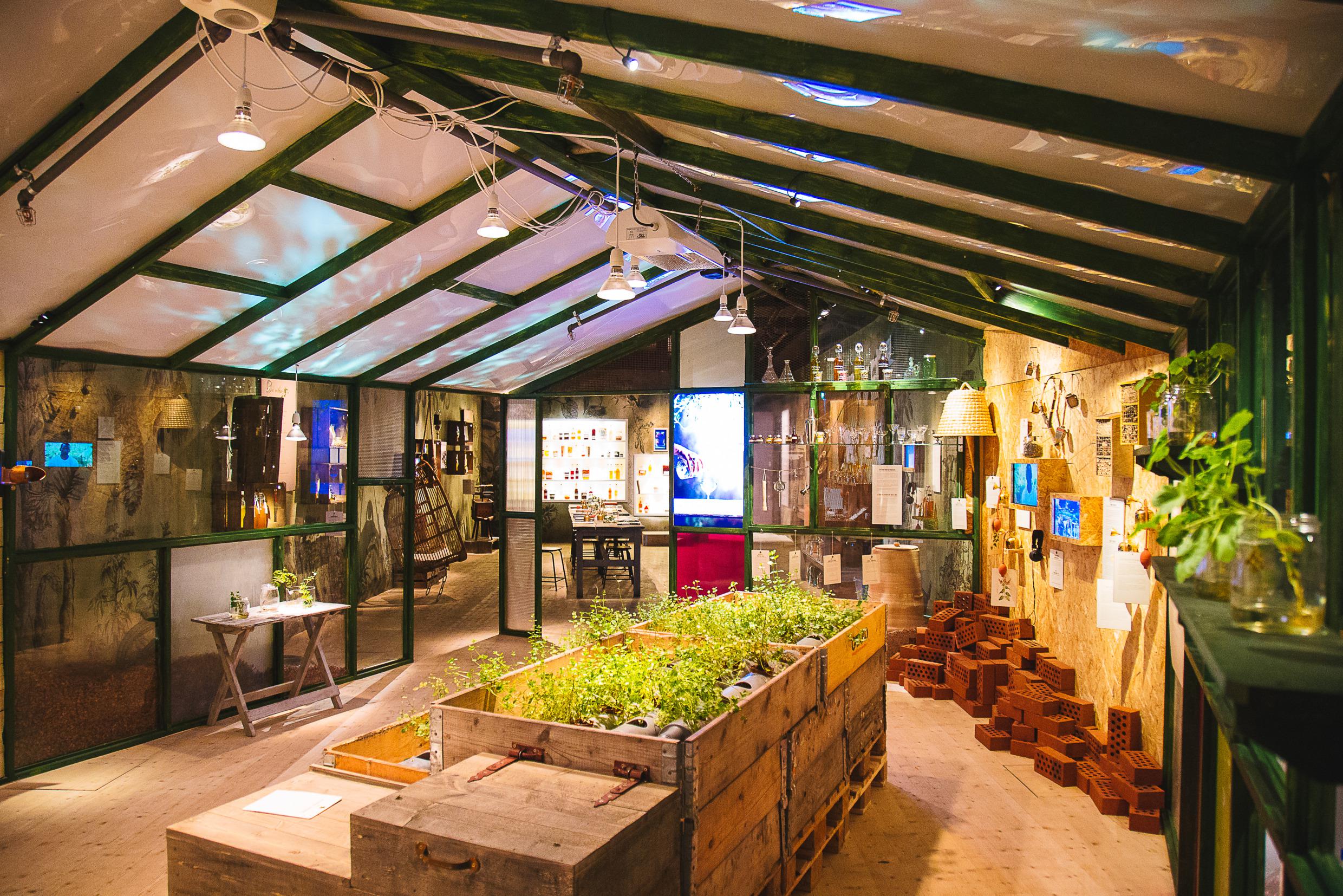 In der Mitte eines großen Raumes mit Glasdach wachsen Pflanzen in Holzkisten.