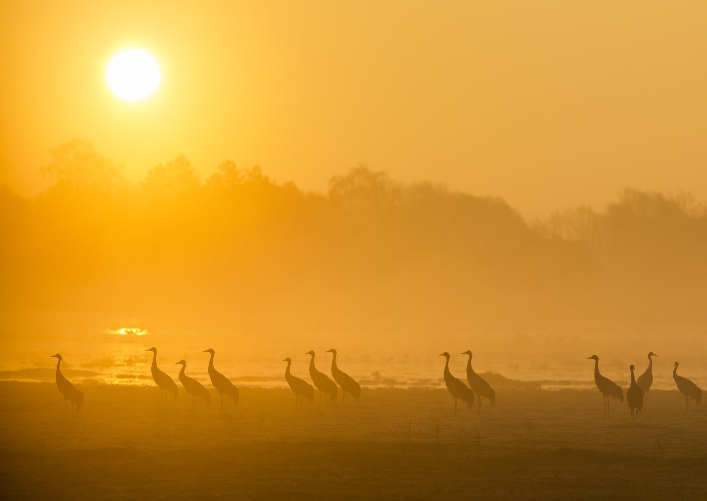 Waterrijk biosfeerreservaat in Skåne