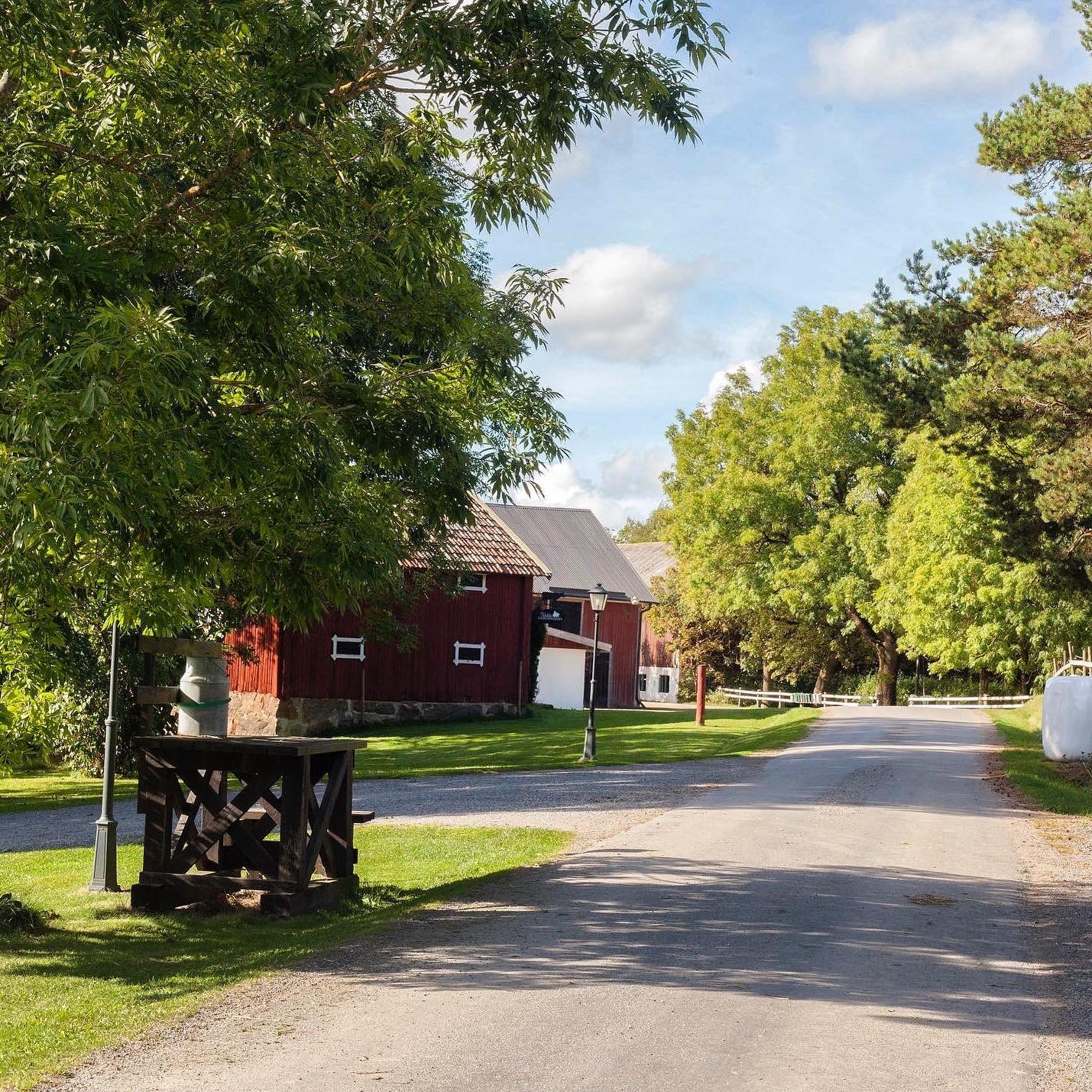 Een weg tussen rode houten huizen omgeven door groen.