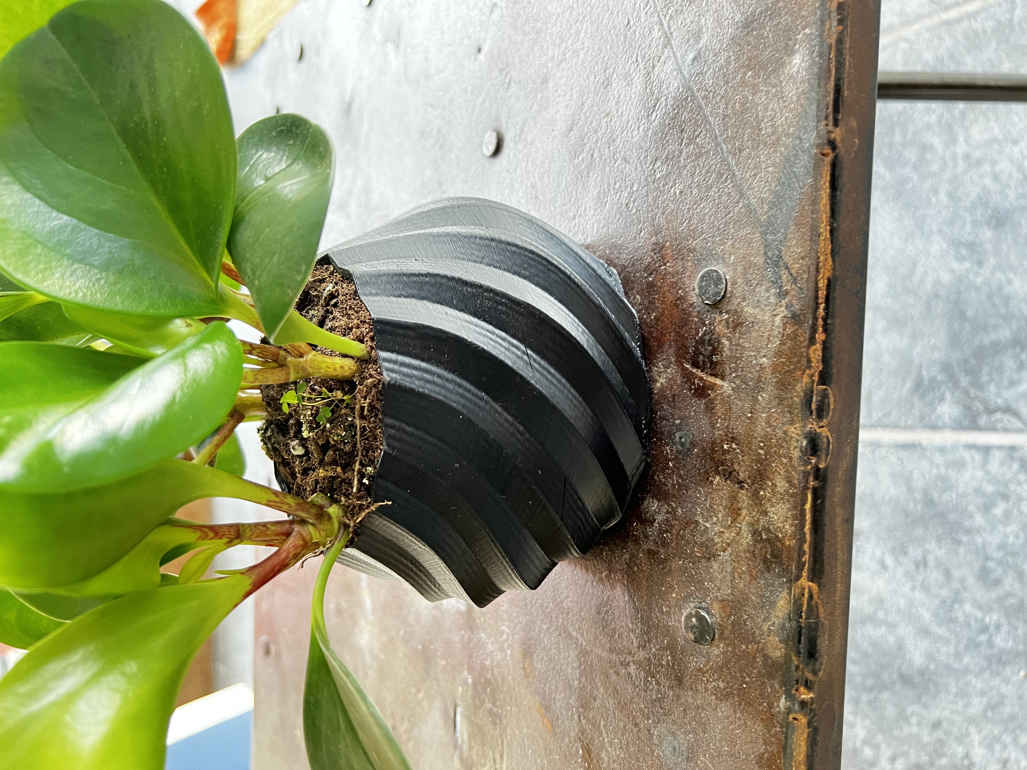 bild nr 4 på produkten: Blomkruka för inomhusbruk - Utan botten hål - Passar Standard växter - Kruka