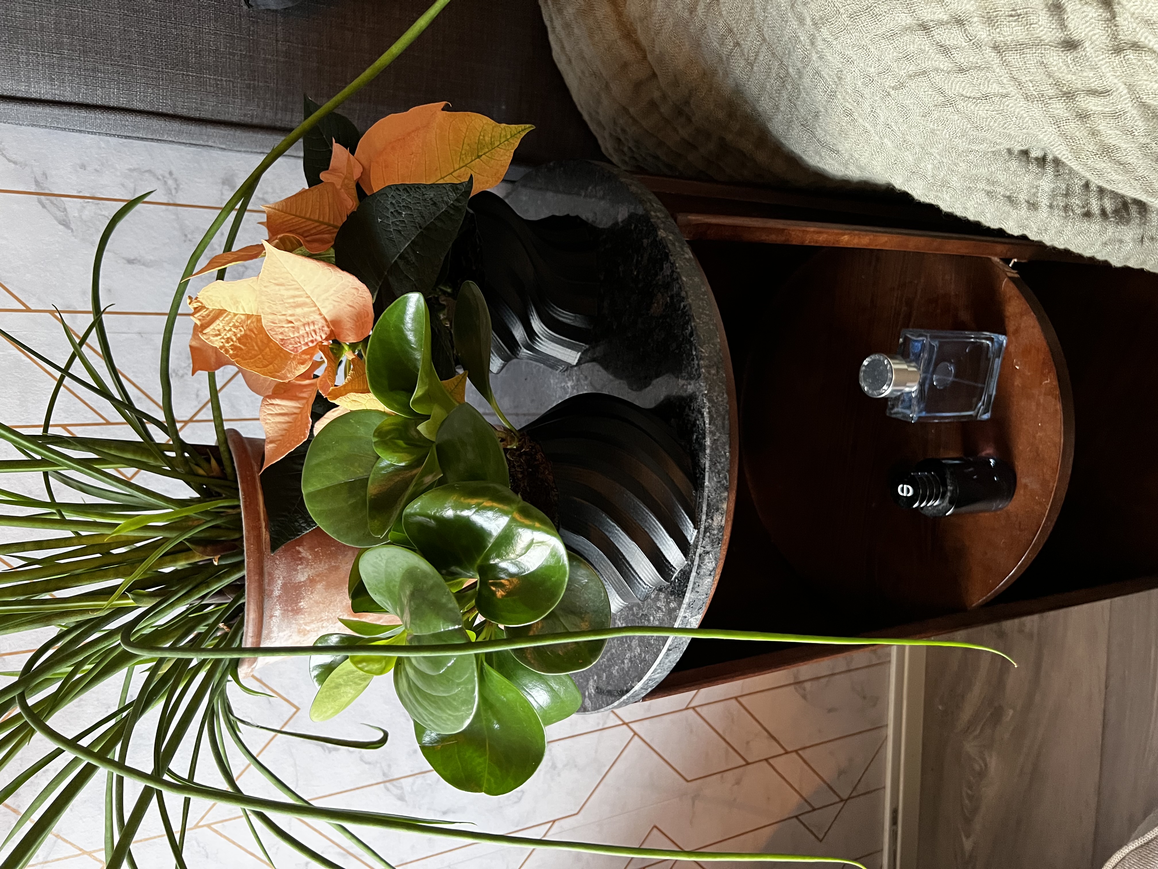 bild nr 3 på produkten: Blomkruka för inomhusbruk - Passar Standard växter - Vacker och inspirerande form - Kruka