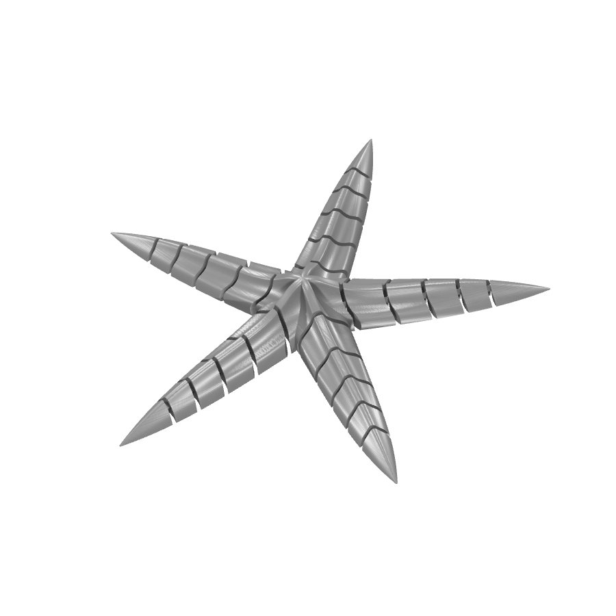 bild nr 2 på produkten: Flexi - Stjärnfisk-dekoration, inspirerad av havets underbara värld, perfekt för heminredning och som prydnad på skrivbord eller hylla