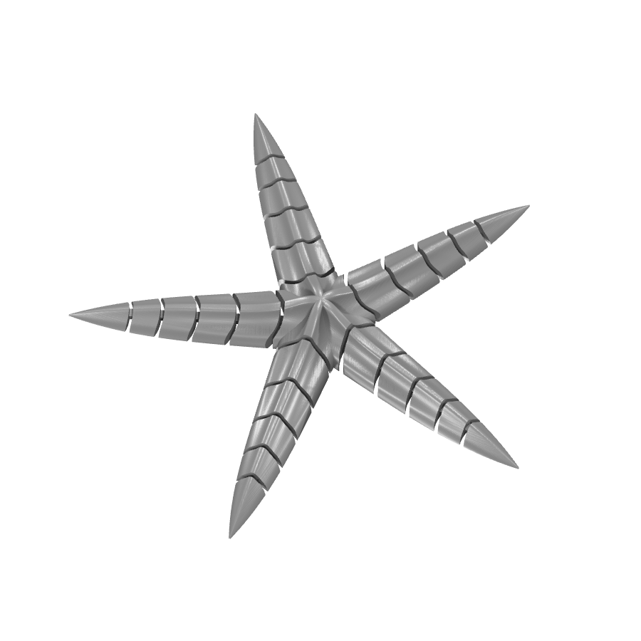 bild nr 3 på produkten: Flexi - Stjärnfisk-dekoration, inspirerad av havets underbara värld, perfekt för heminredning och som prydnad på skrivbord eller hylla