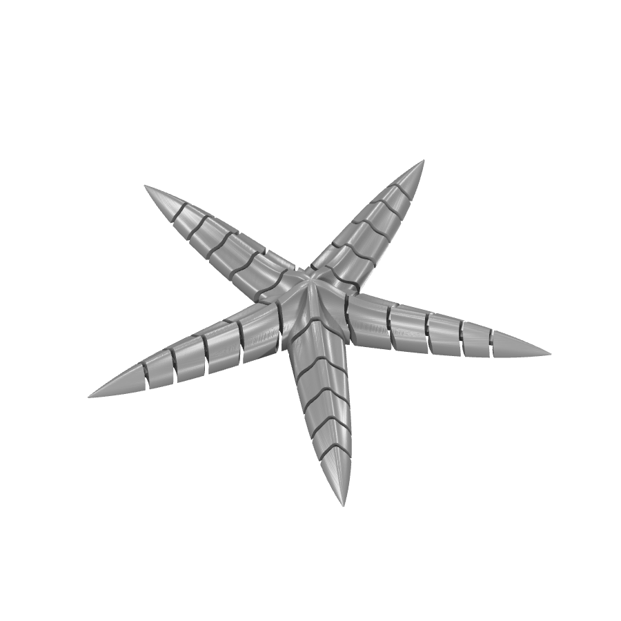 bild nr 7 på produkten: Flexi - Stjärnfisk-dekoration, inspirerad av havets underbara värld, perfekt för heminredning och som prydnad på skrivbord eller hylla