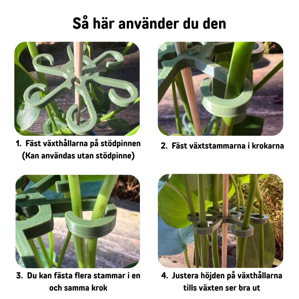 bild nr 2 på produkten: Växthållare Två-Pack, Till Monstera Växter - Blomster Bläckfisk
