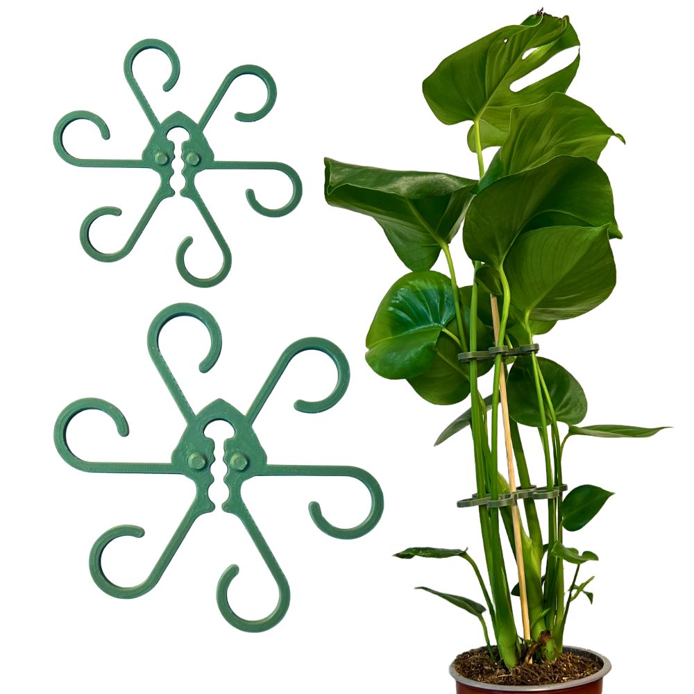bild nr 6 på produkten: Växthållare Två-Pack, Till Monstera Växter - Blomster Bläckfisk