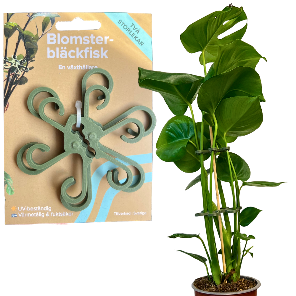 Bild på 3D printad produkt med namn: Växthållare Två-Pack, Till Monstera Växter - Blomster Bläckfisk