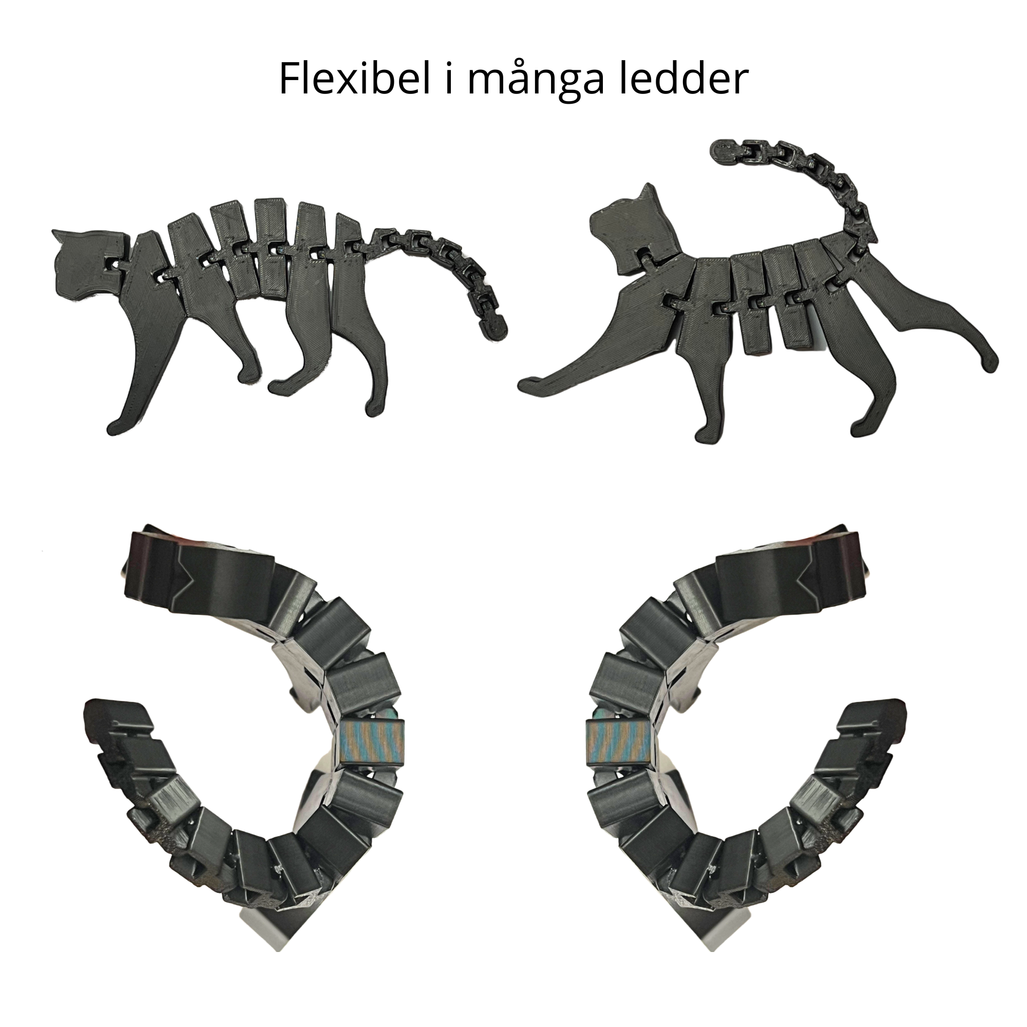 bild nr 3 på produkten: Flexi Katt - Rörliga Leder
