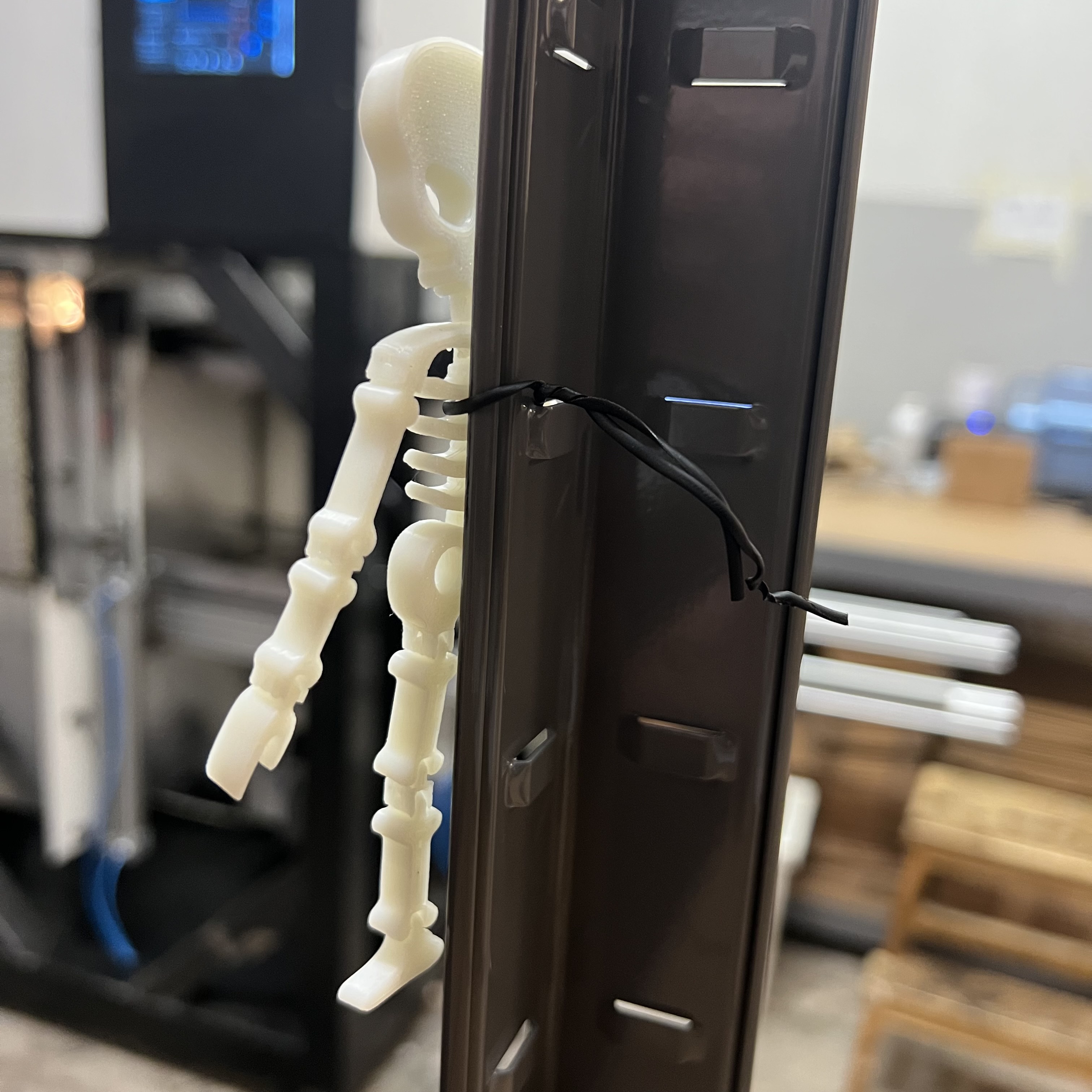 bild nr 5 på produkten: Flexi Skelett - Rörliga Leder