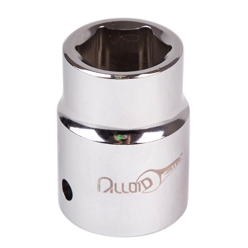 ALLOID 00000020681 image