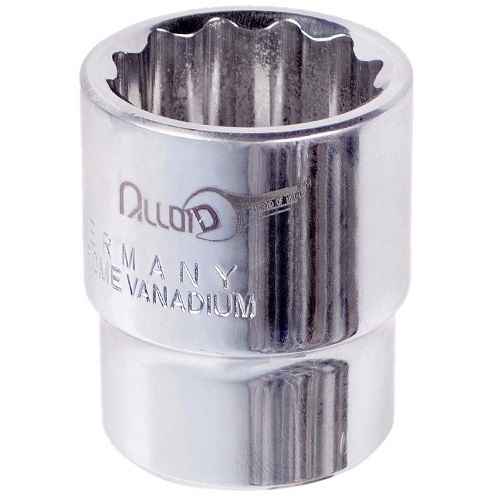 ALLOID 00000029370 image