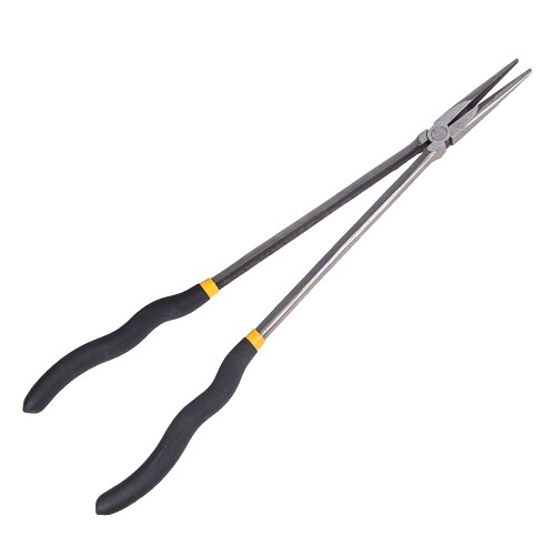 ALLOID 00000042860 image