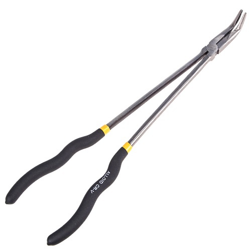 ALLOID 00000042862 image