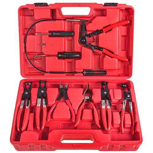 ALLOID 00000046761 image