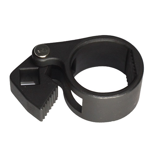 ALLOID 00000054692 image