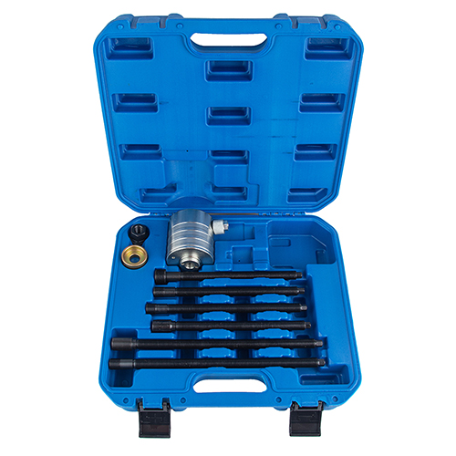 ALLOID 00000061306 image