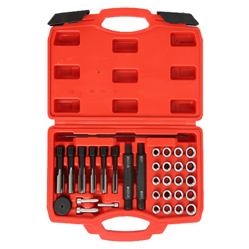 ALLOID 00000062529 image