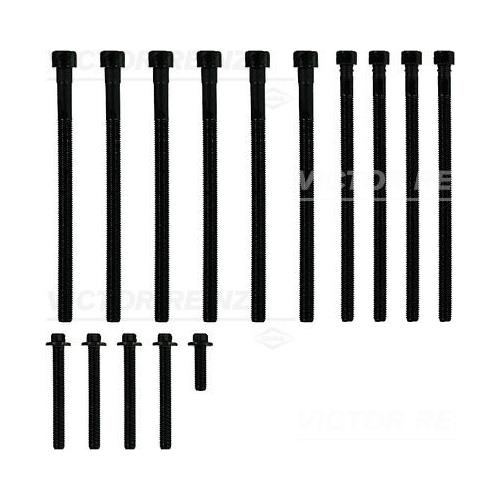 VICTOR REINZ 14-10010-01 image