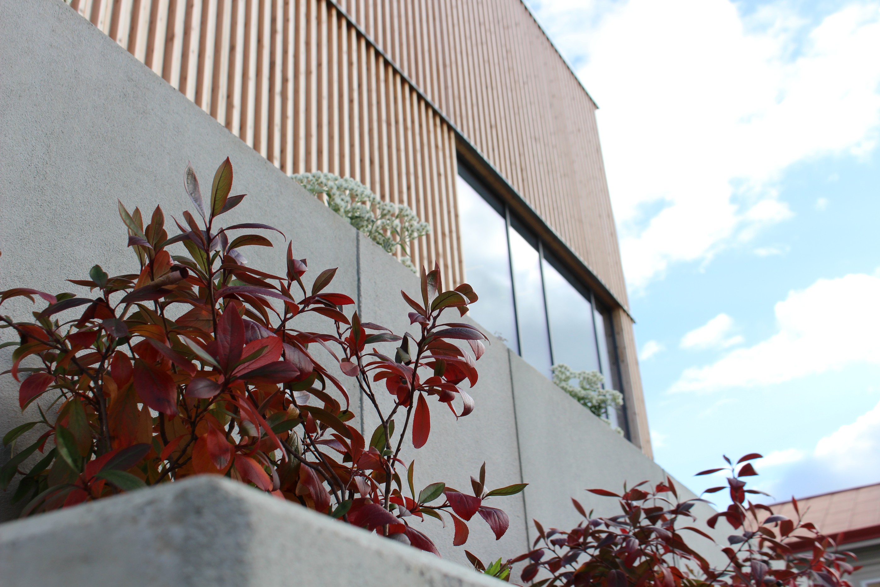 Nationalmuseum Jamtli