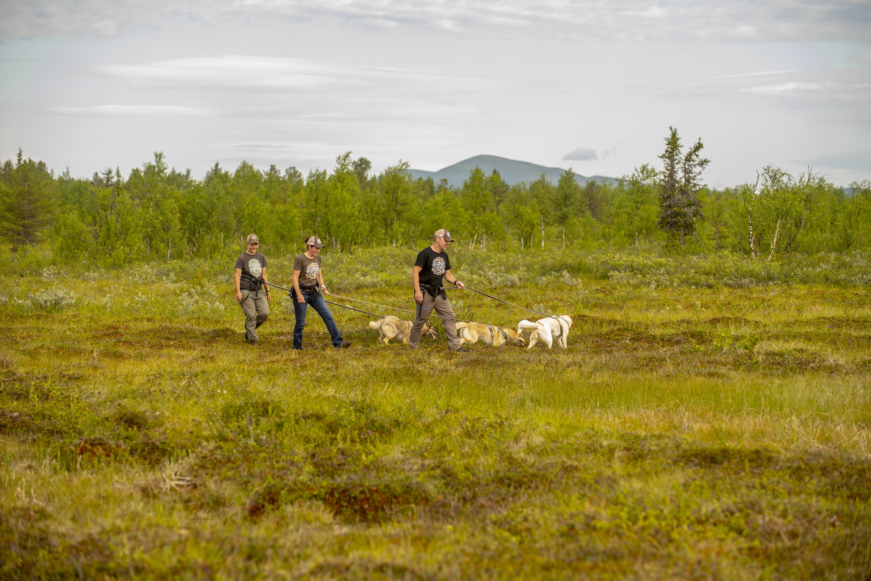 Valppromenad - Explore the North