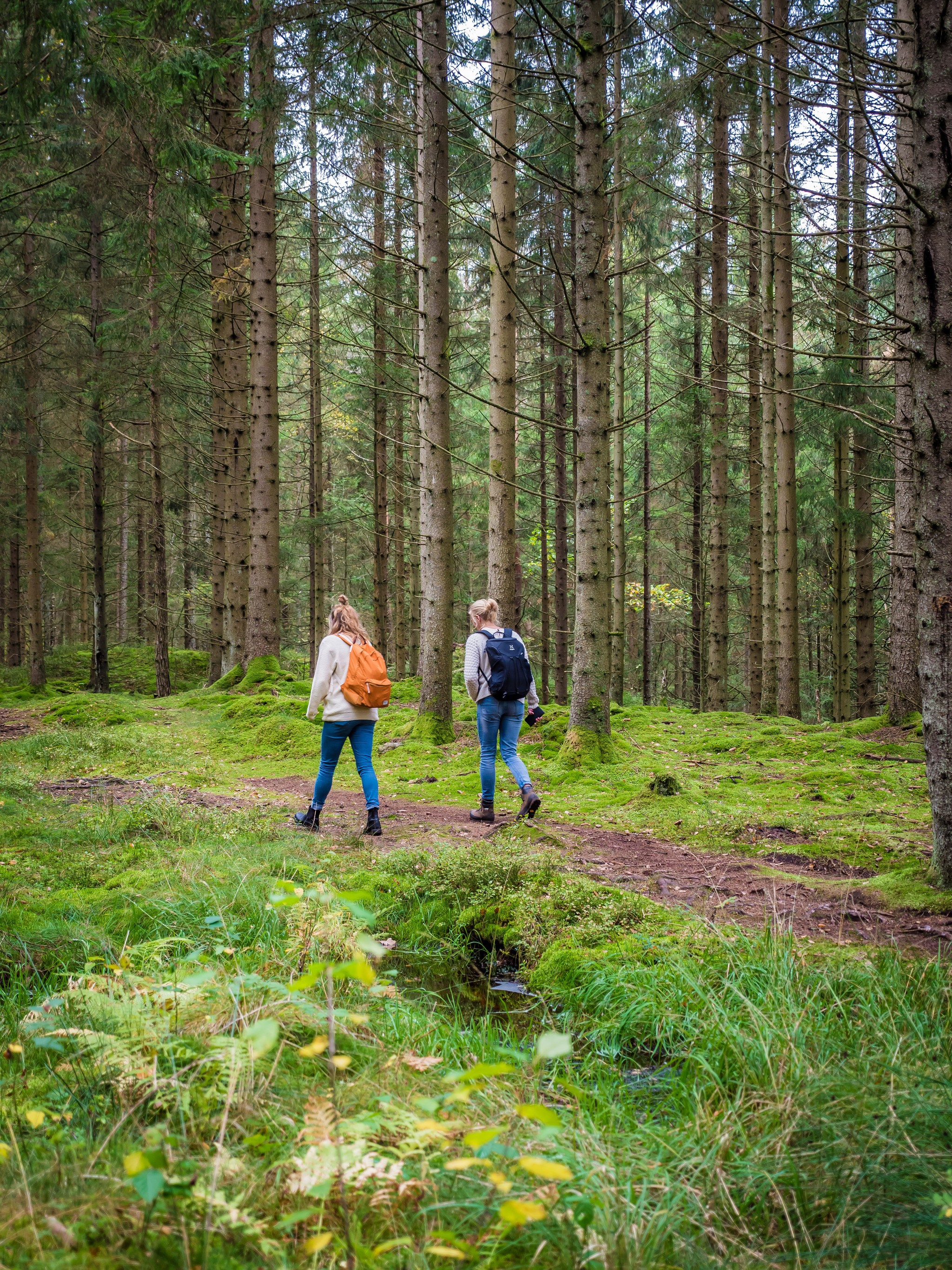 Vandringsäventyr på Bohusleden
