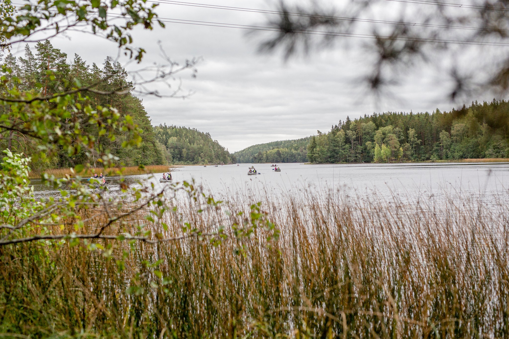 Natur- och måltidsupplevelse (kanotkungen o co.)