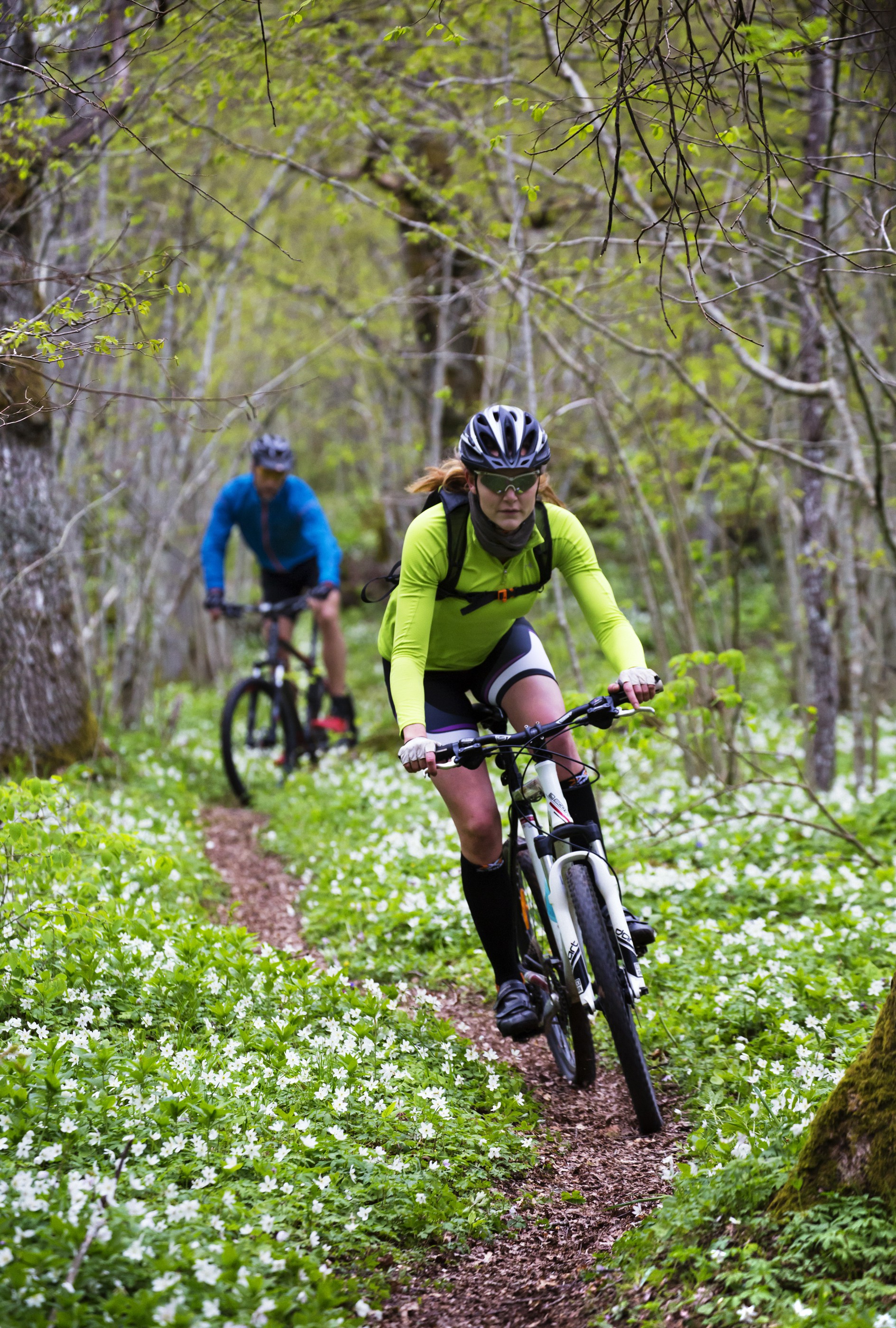 Cykla i Dalsland