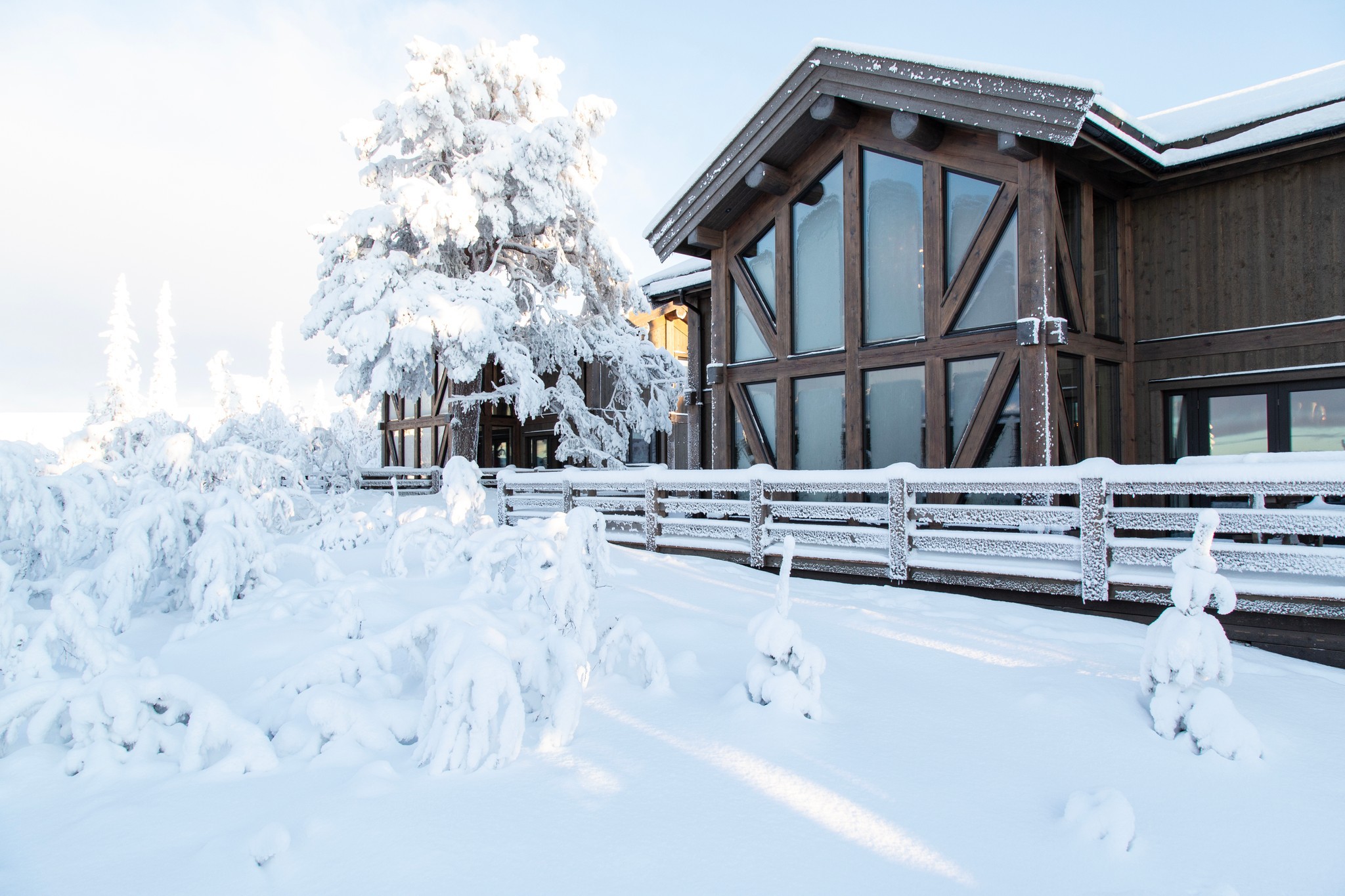 Jobba fjällifrån i Lofsdalen